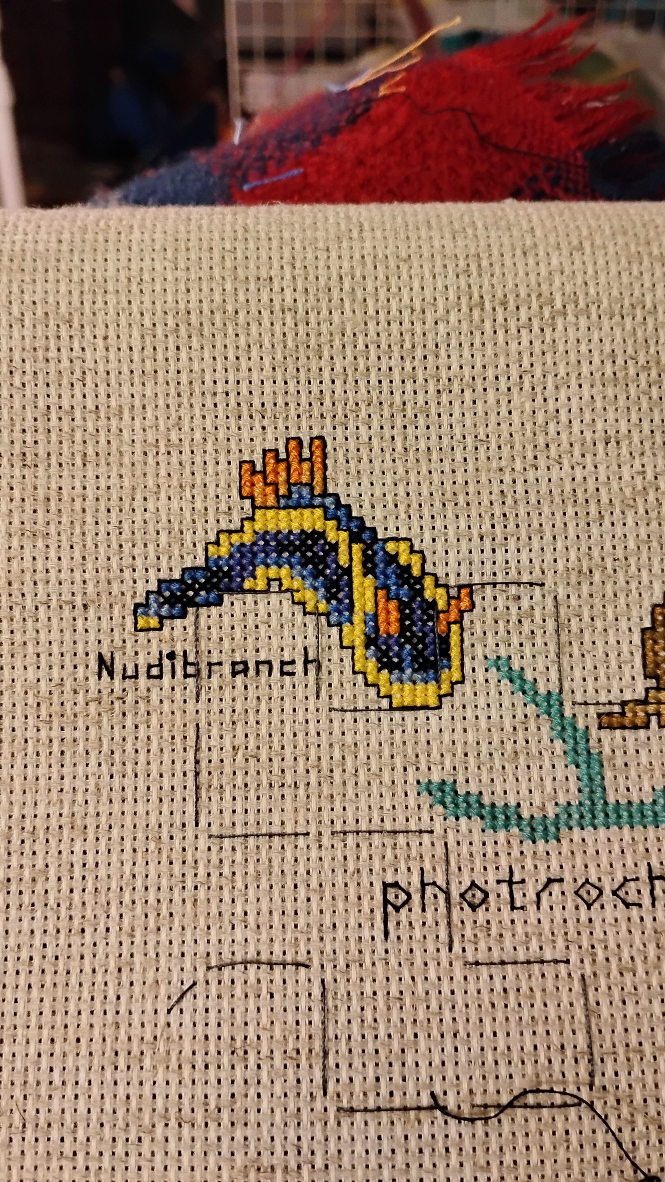 Continuing the Tree of Life stitch along with part 2: nudibranch!