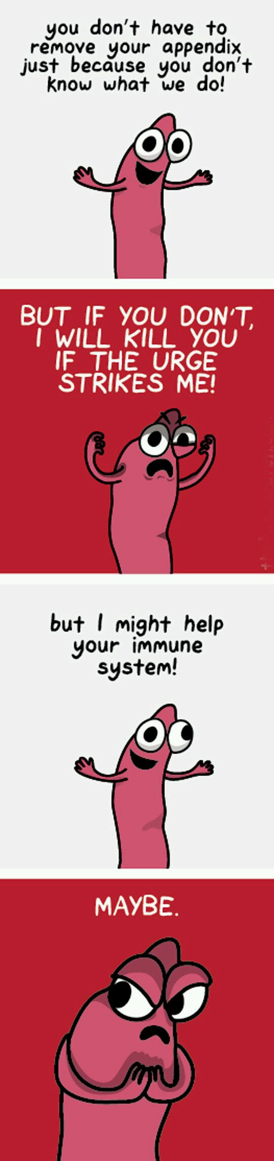 But Seriously, Appendix, Why Are You Even Here?