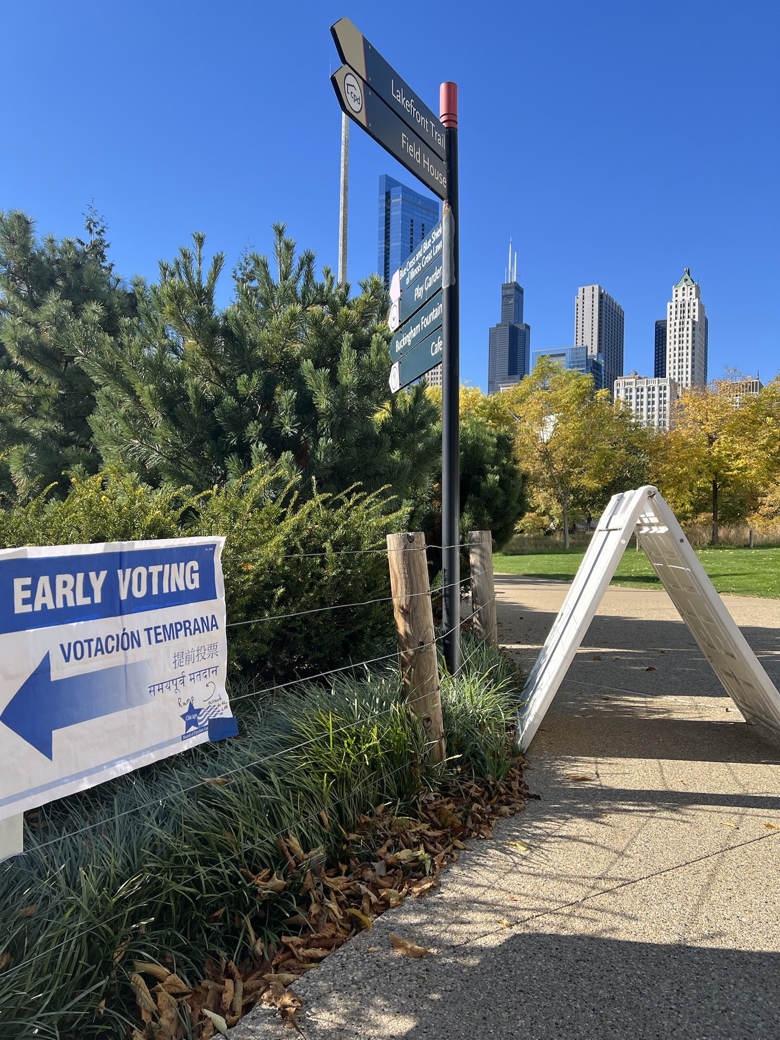 Early Voting Buzz in Chicago
