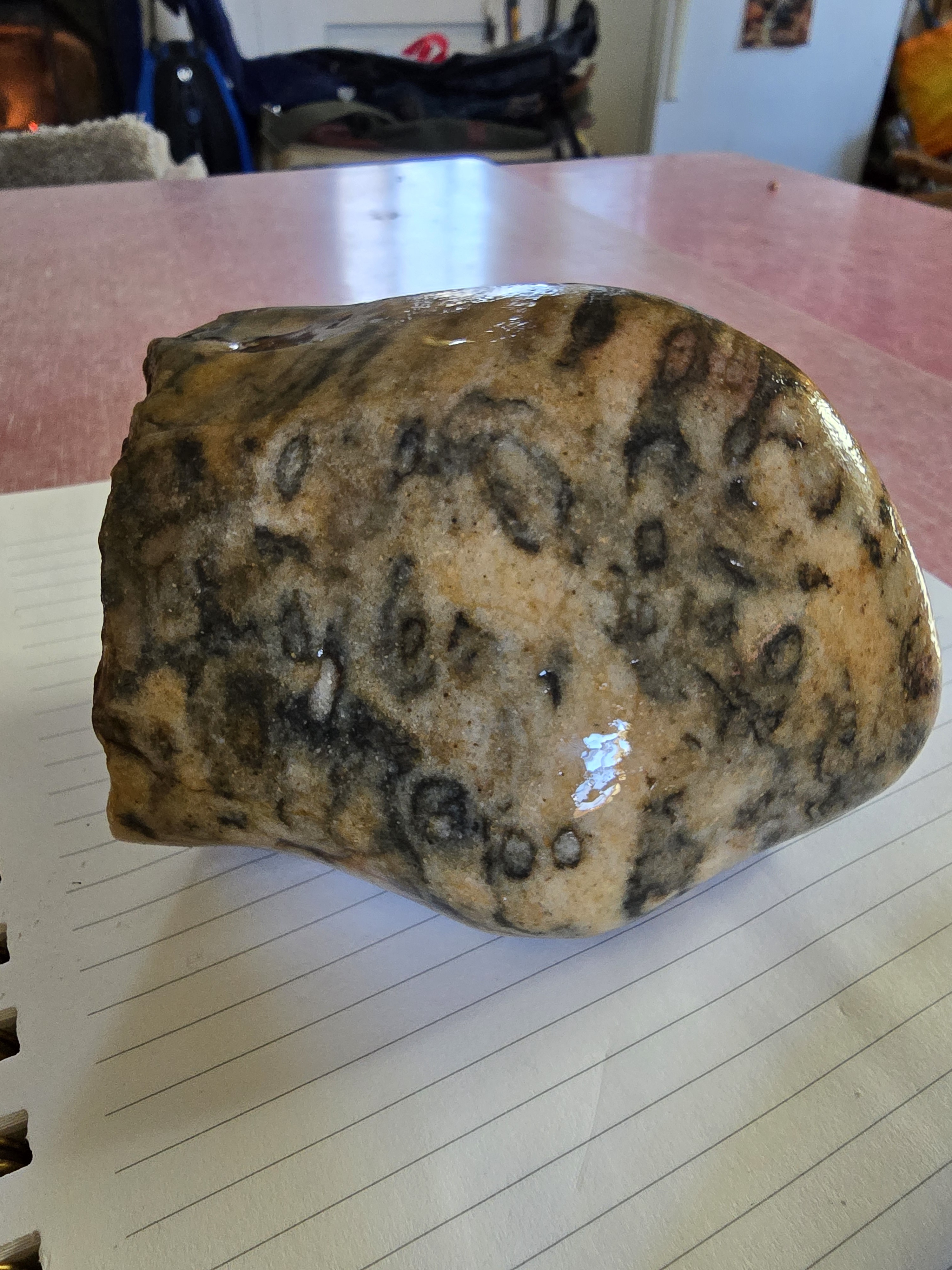 A Unique Rock Discovery in a Connecticut River