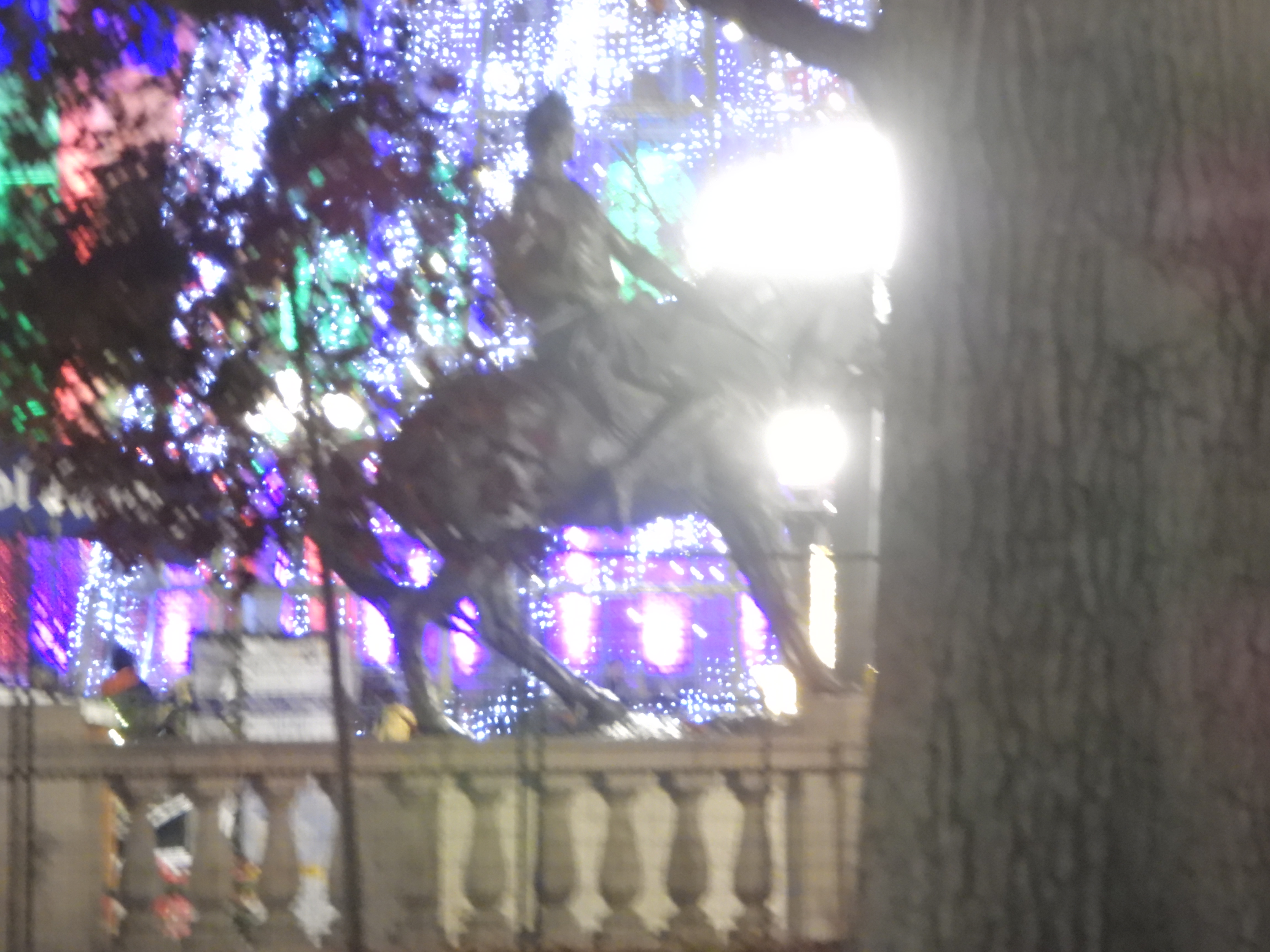 Civic Center Lights and Denver Drones: A Spectacular Show on 11-28-24