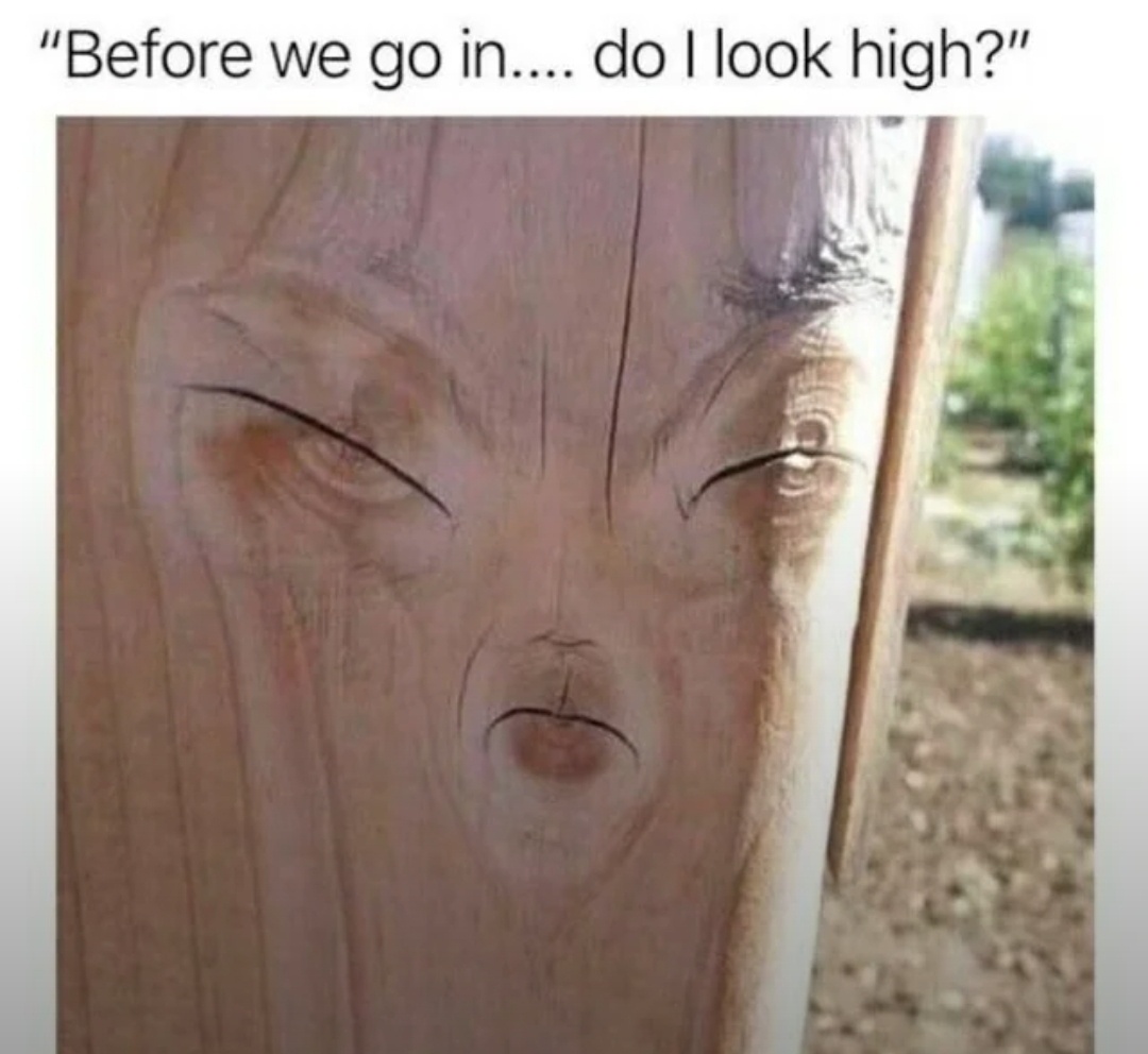 A Tiny Treasure Trove of Memes I Borrowed