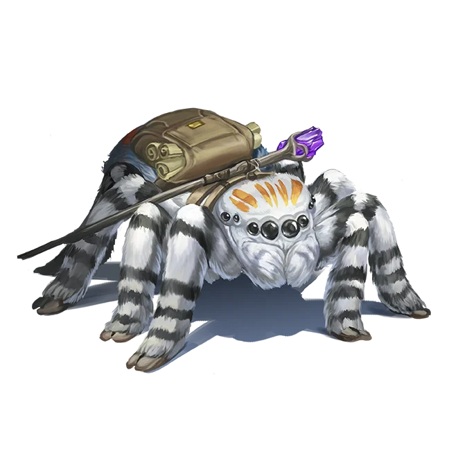 Meet Anadi: The Spider Person with a Twist