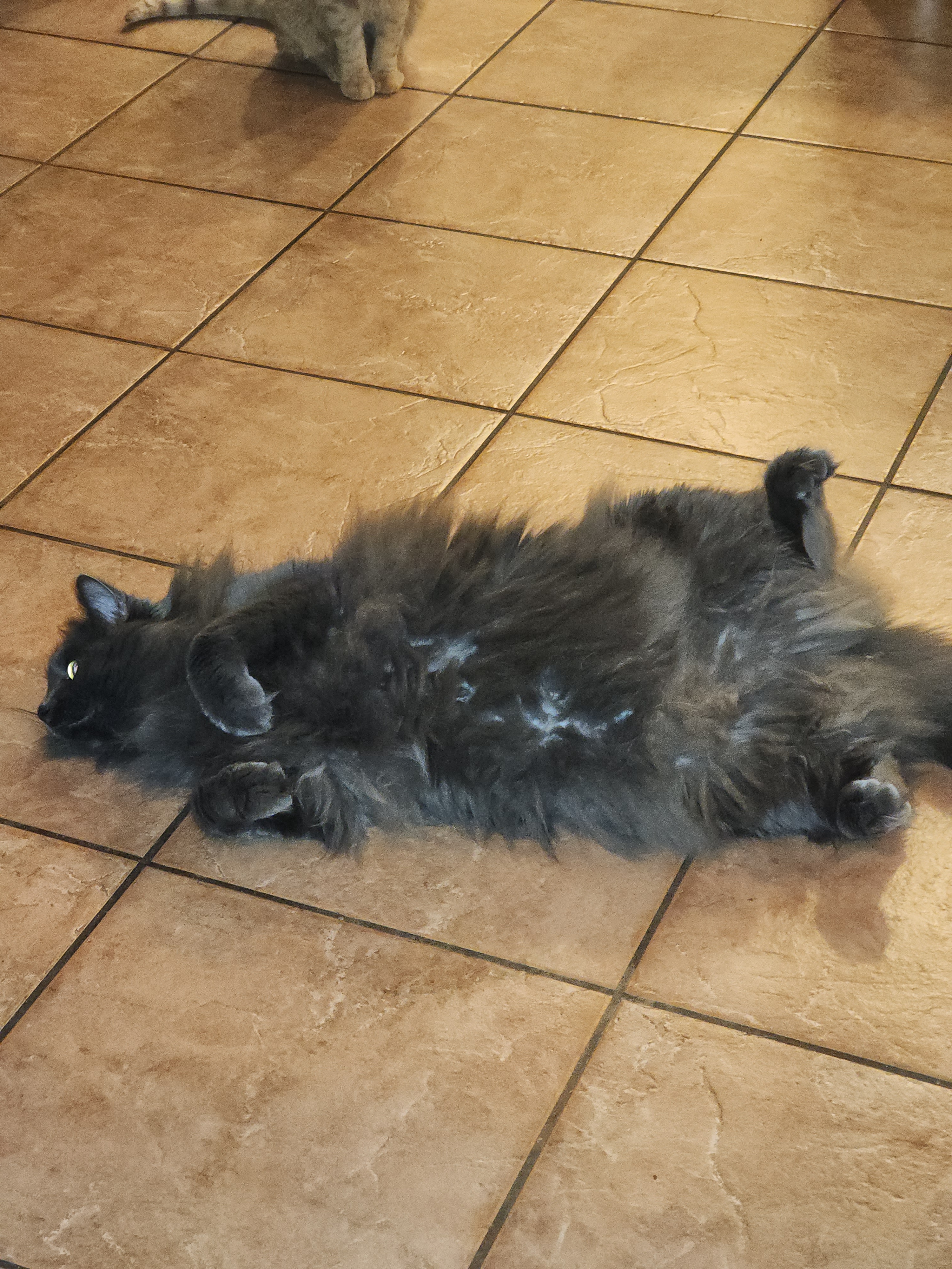 Yzma's Epic Belly Trap Performance!