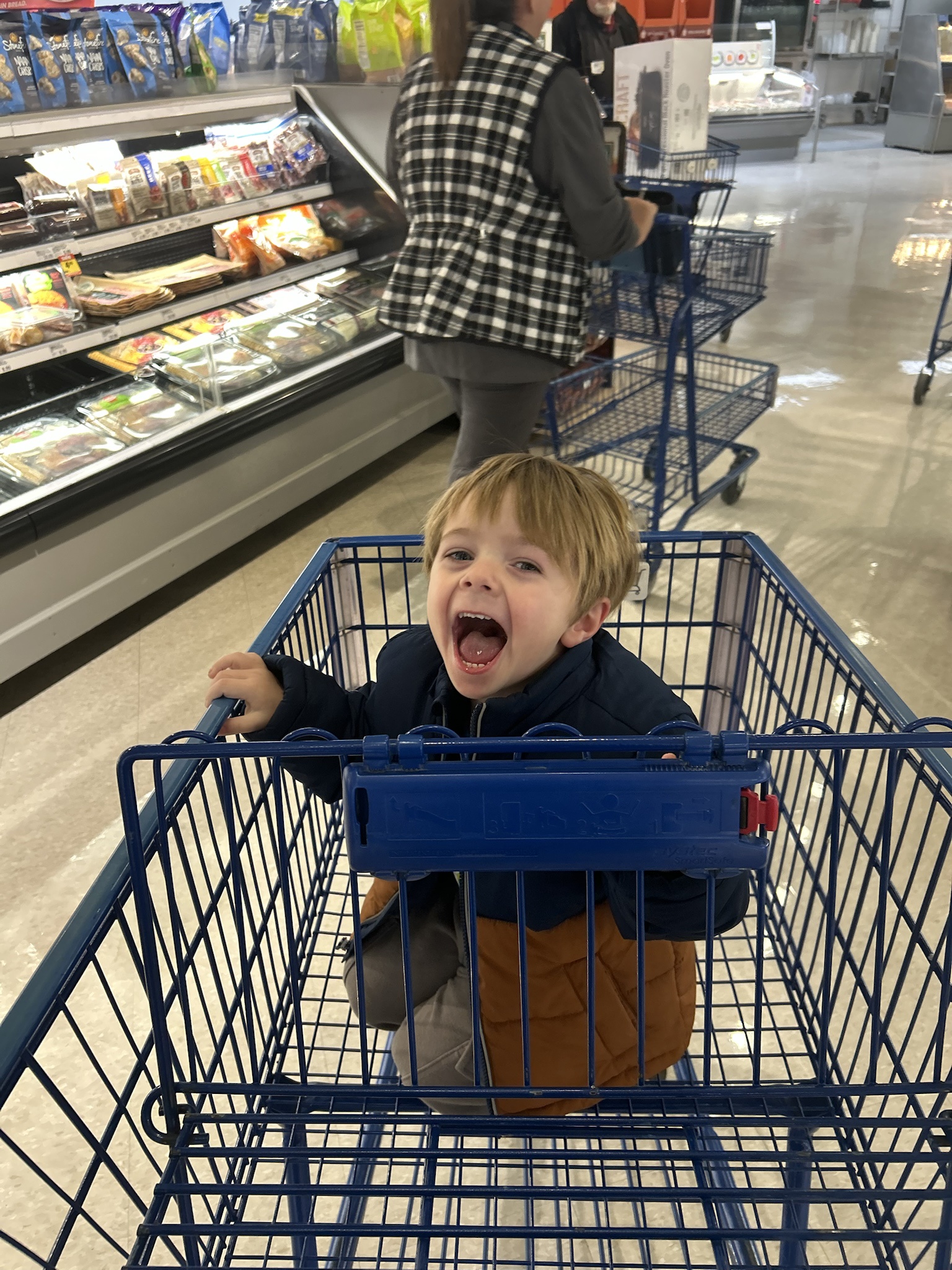 The wild shopping companion I had today.