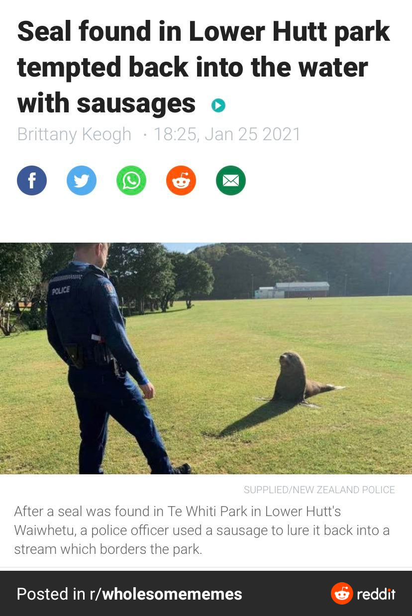 New Zealand making headlines again