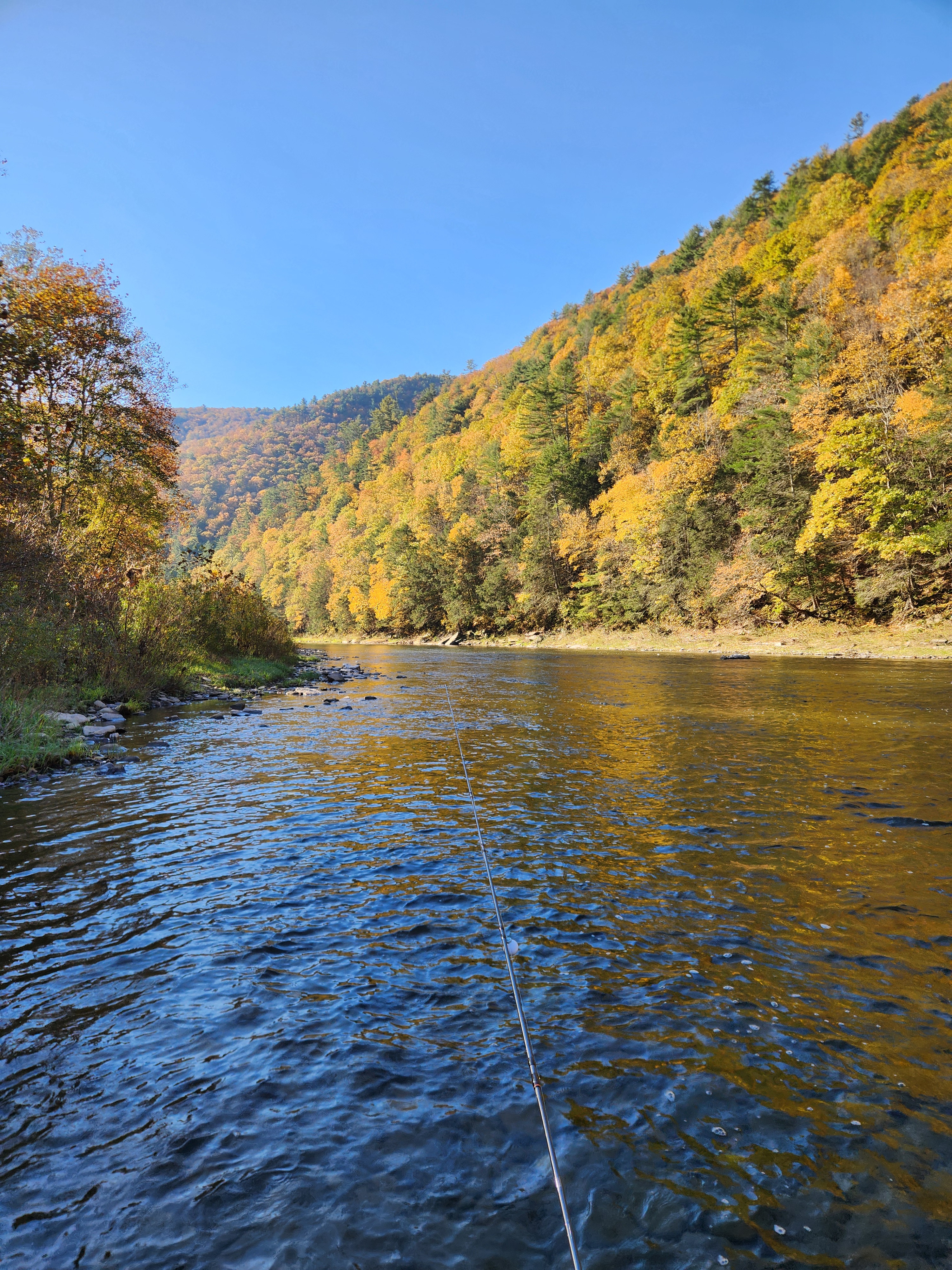 Experience the Serenity of Fall Fly Fishing on Pine Creek, Pennsylvania
