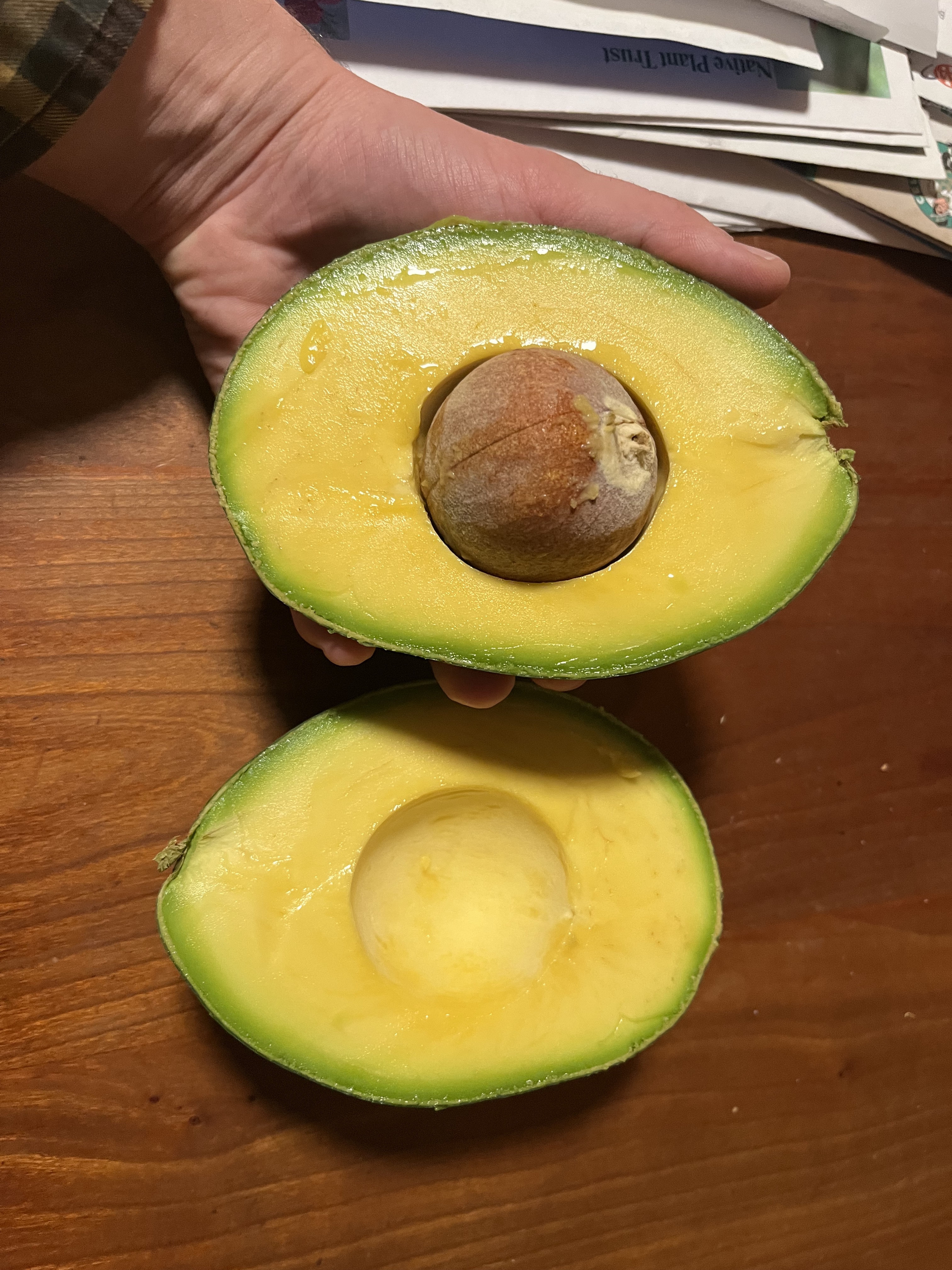The Avocado That Looks Too Perfect to Eat