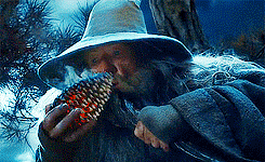 Hey Team Pinecone, am I on the right track?