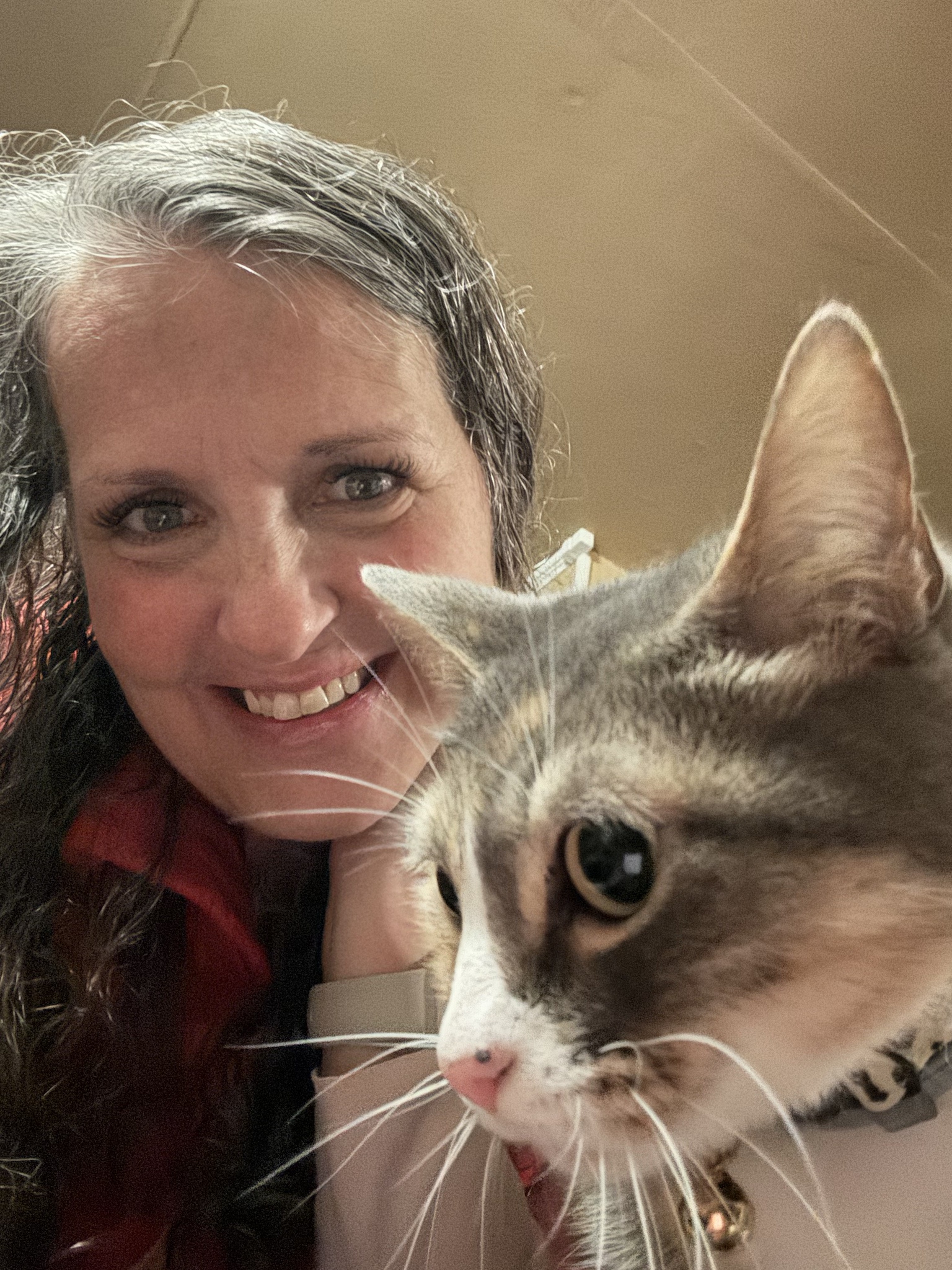 Meet the Kitty Boss: Ruler of the Household