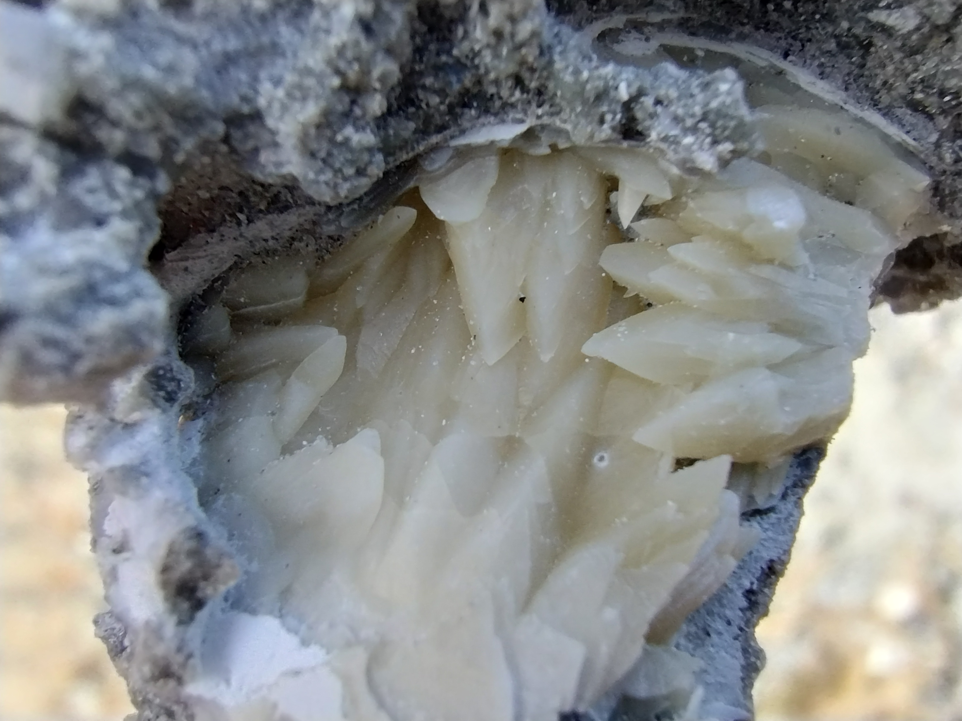 Introducing the Fascinating World of Dogtoothed Calcite!