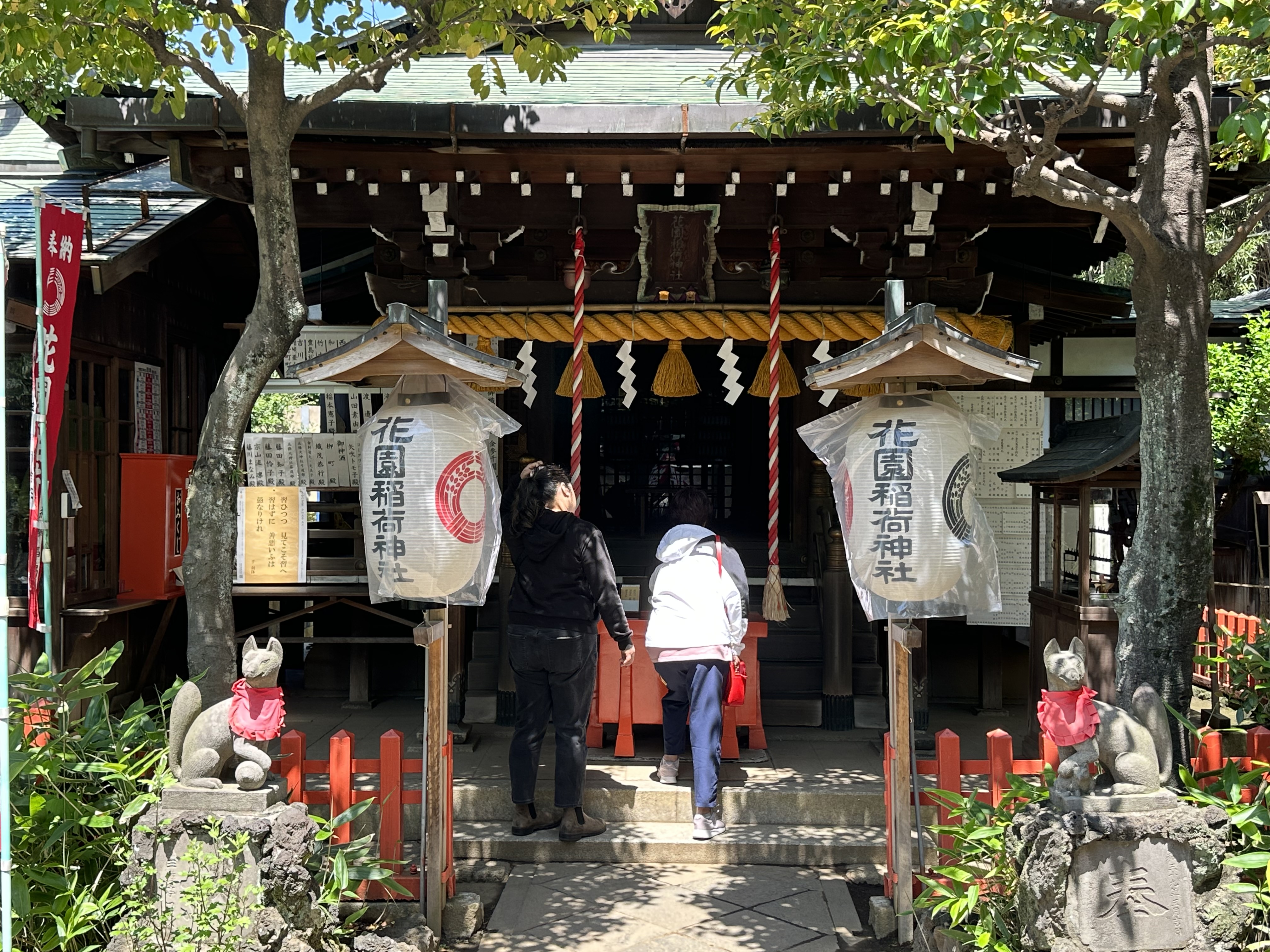 Exploring the beauty of Tokyo's Ueno Park