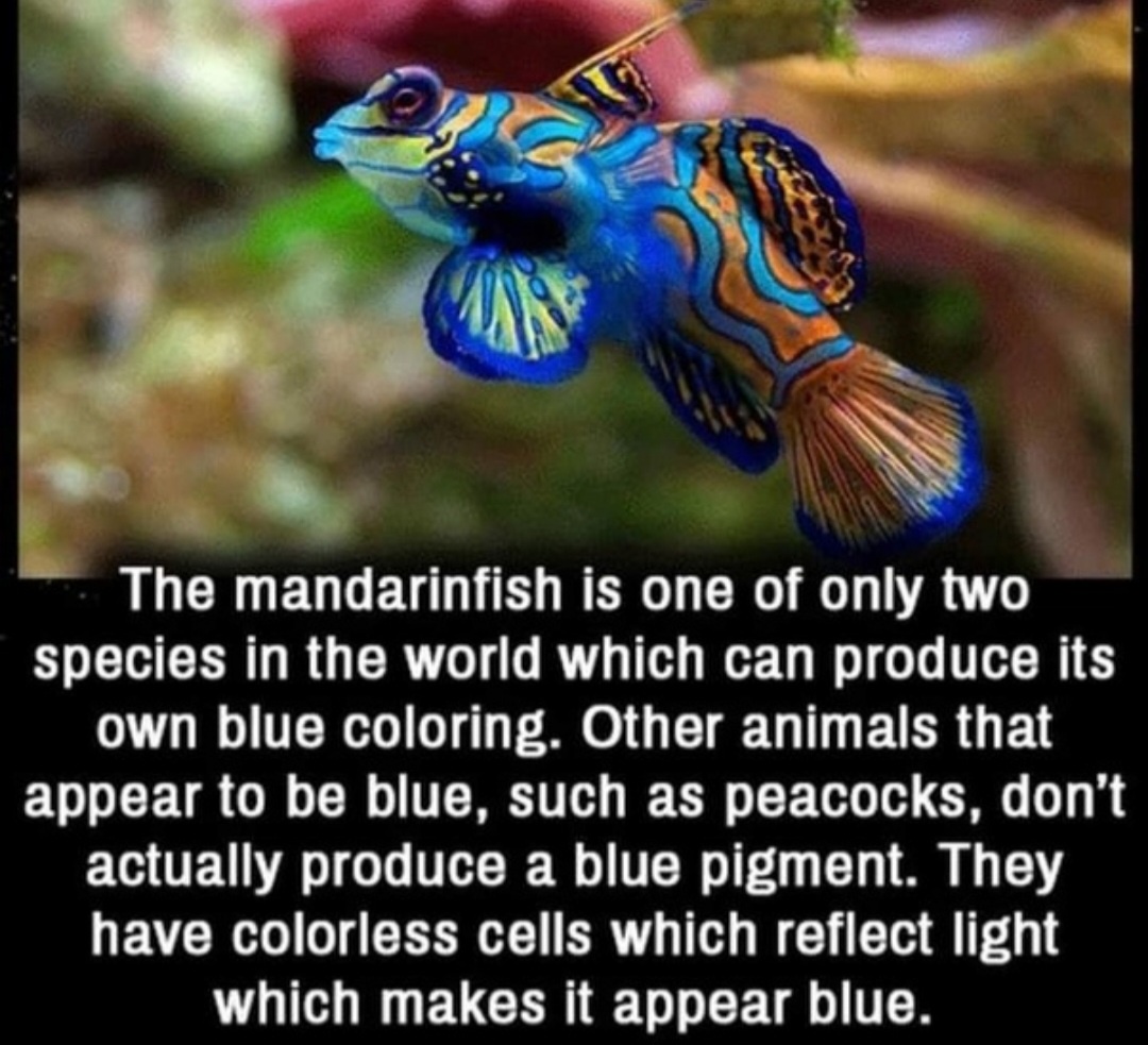 Did You Know? Fascinating Facts Revealed!