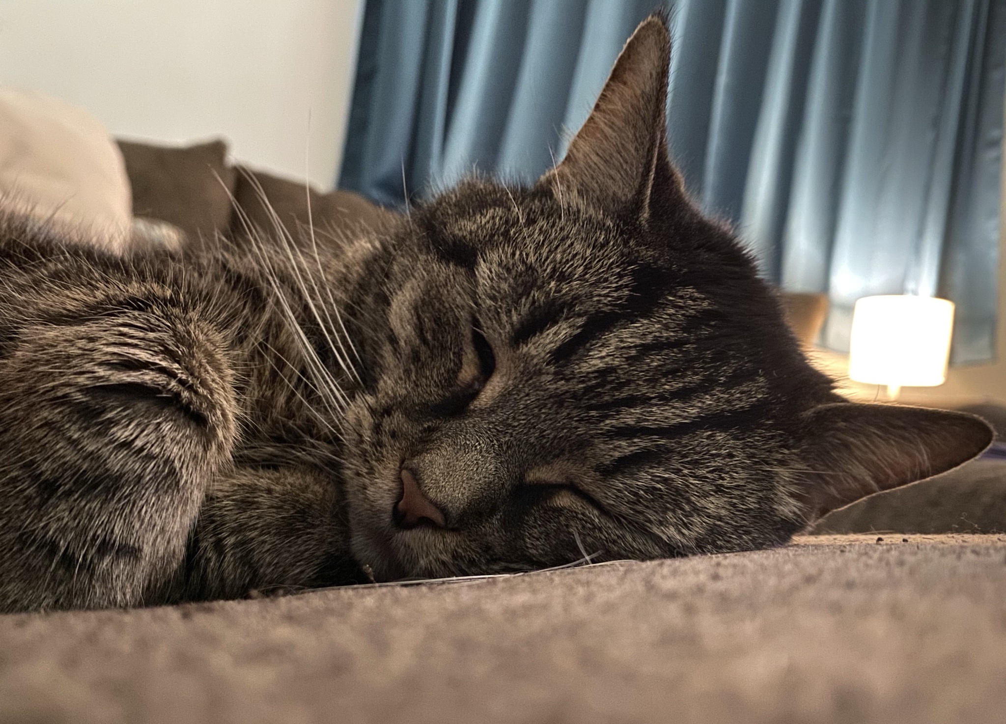 A Touching Tribute to Flynt (Warning: Sad Content)