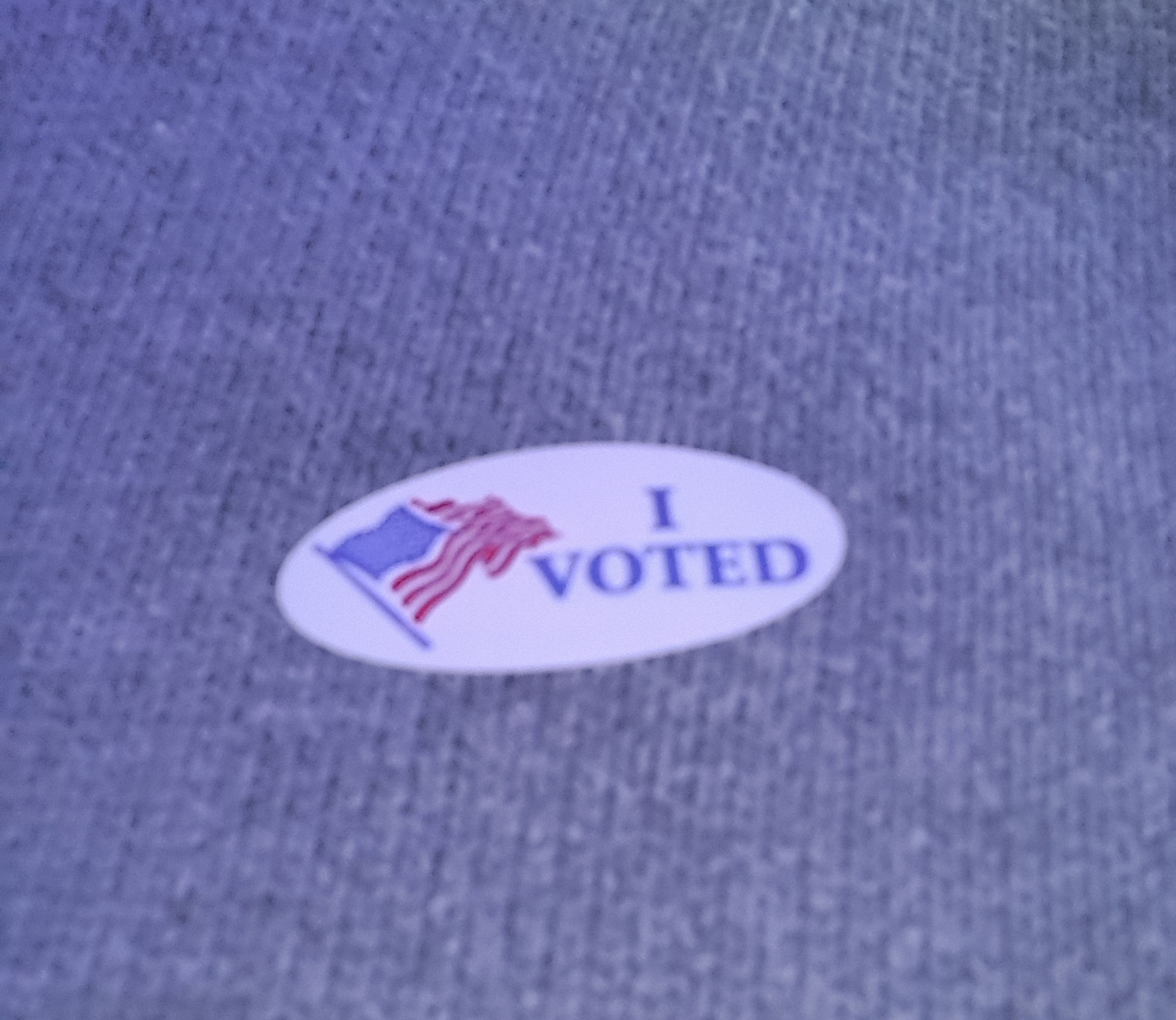Make Your Voice Heard: Please Vote!