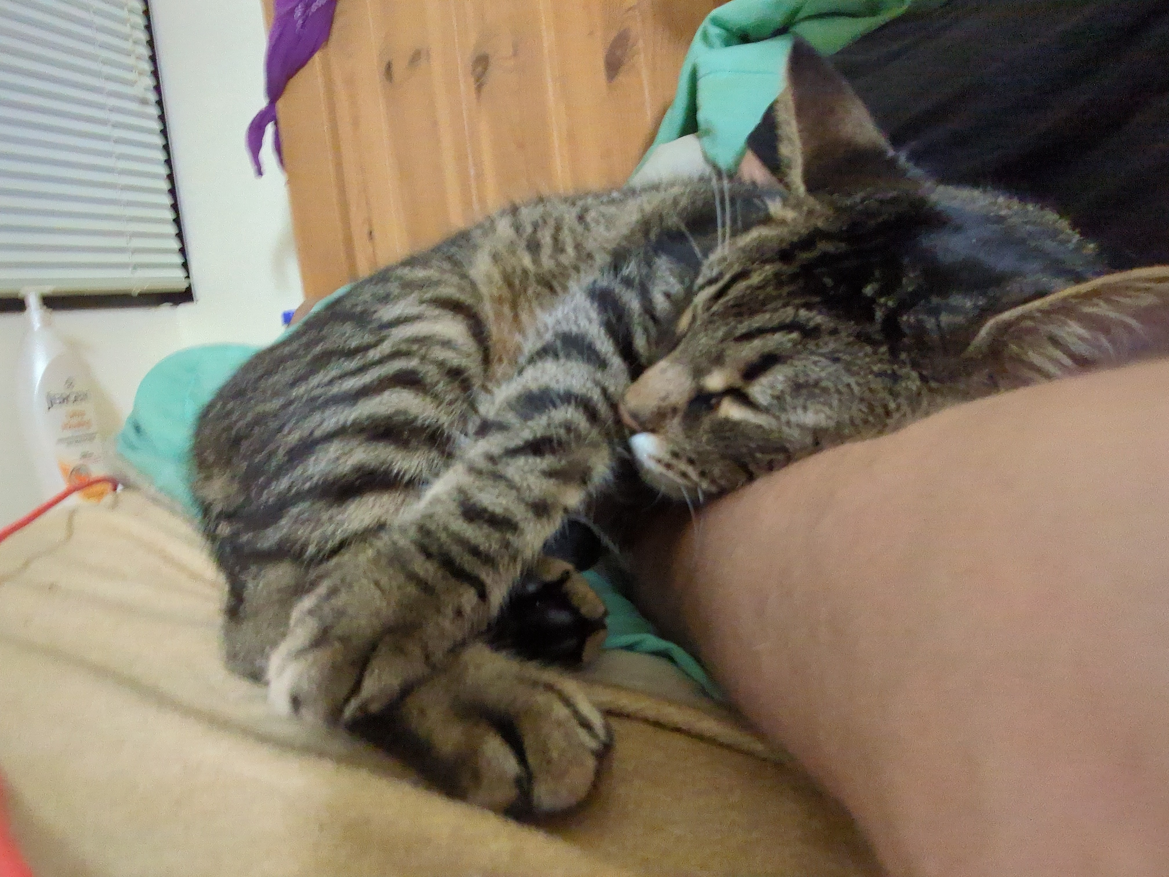 That Moment When Your Arm Starts to Go Numb...
