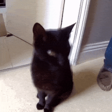 This adorable black car is blowing you a kiss!
