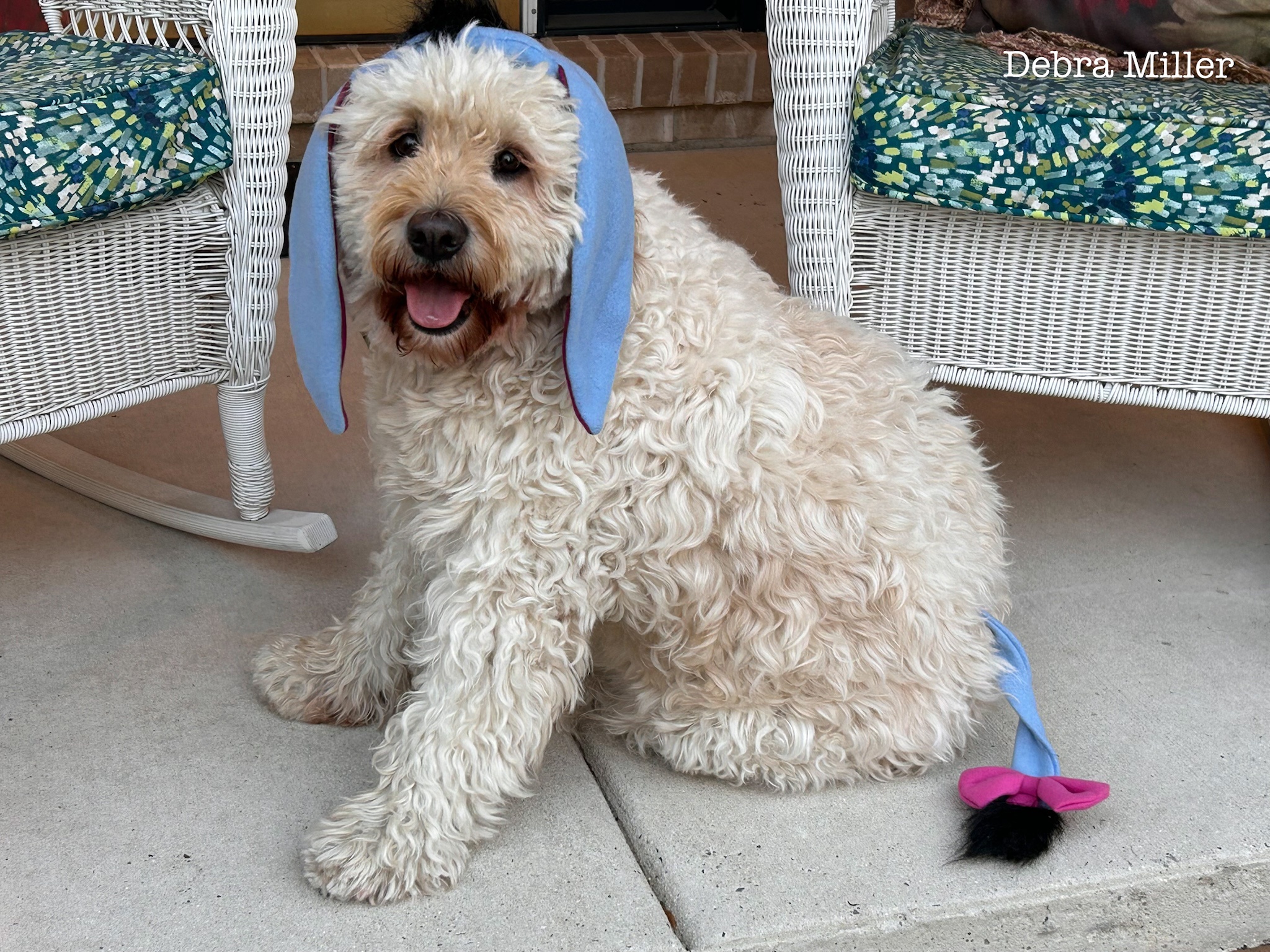 Odie Channels His Inner Eeyore