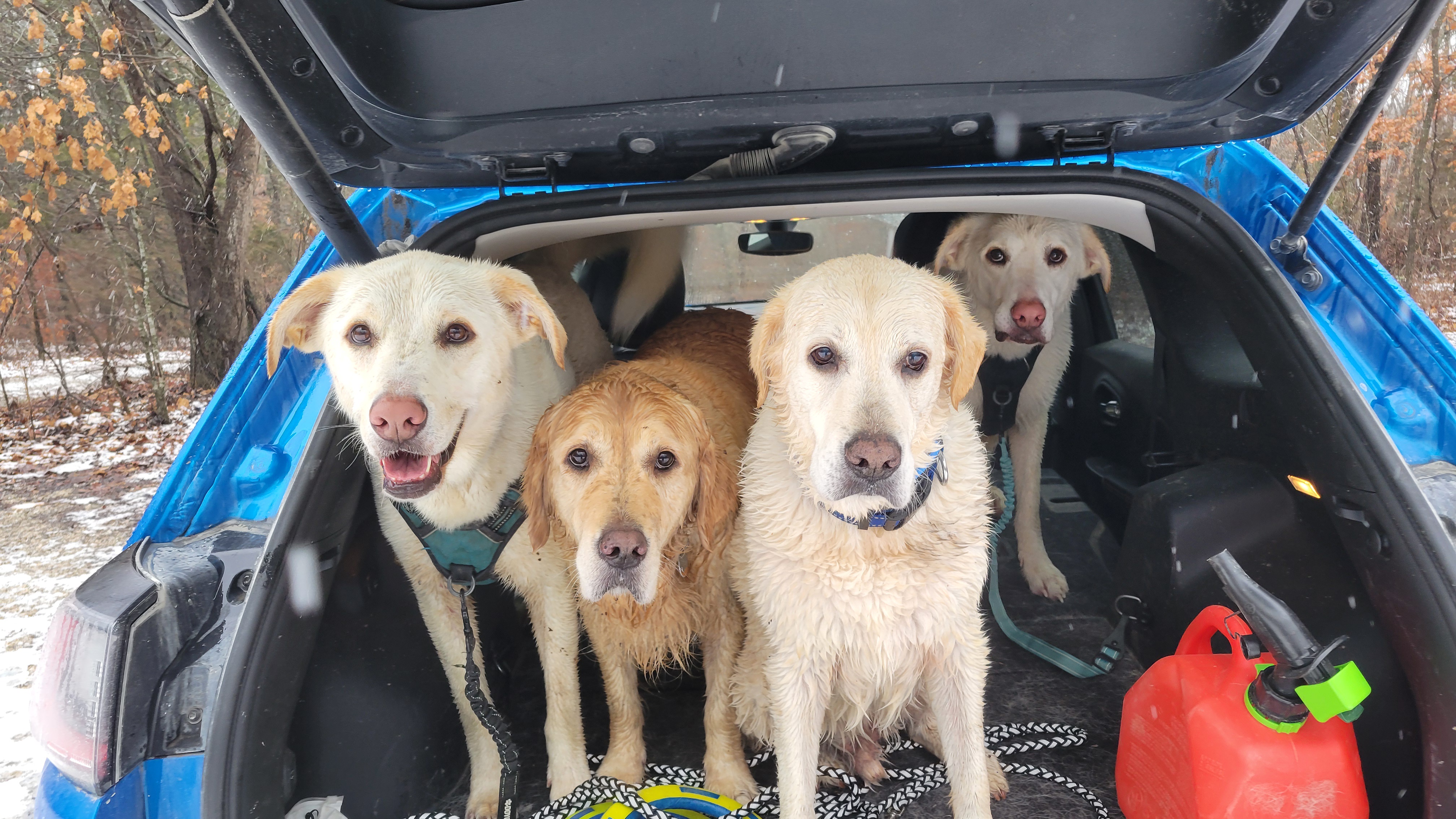 Did someone mention an adventure on the road?
