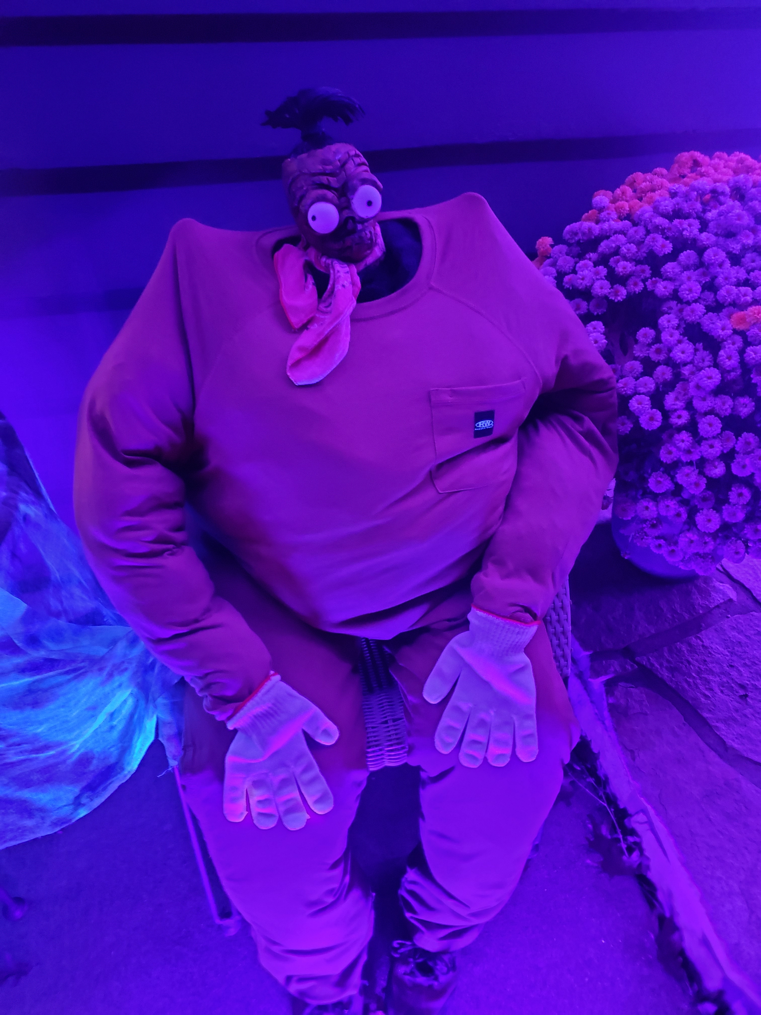Just Bob
