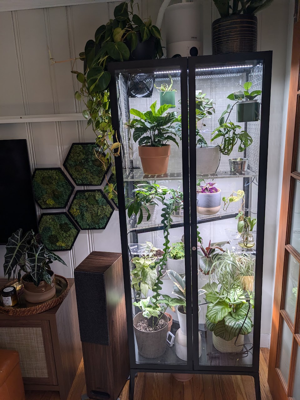 Creating a Cozy Space with an Ikea Greenhouse