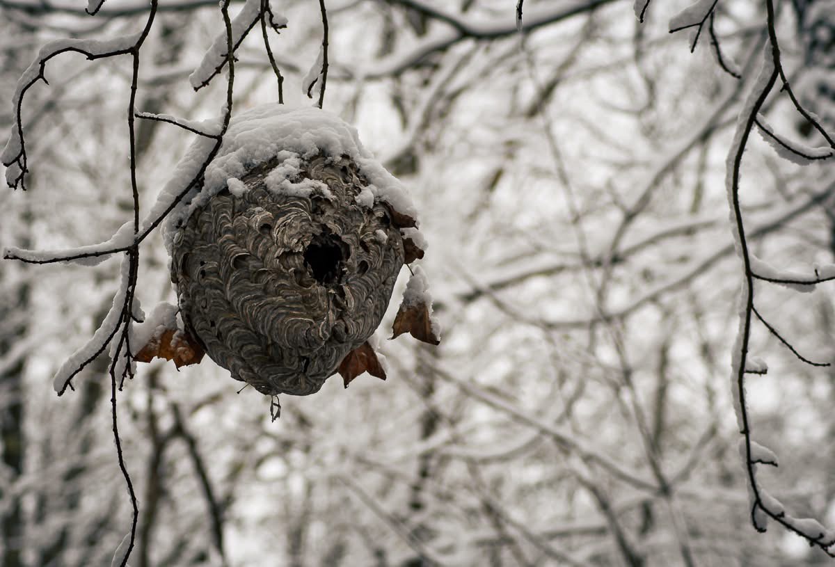 A cozy little nest for the weary traveler.