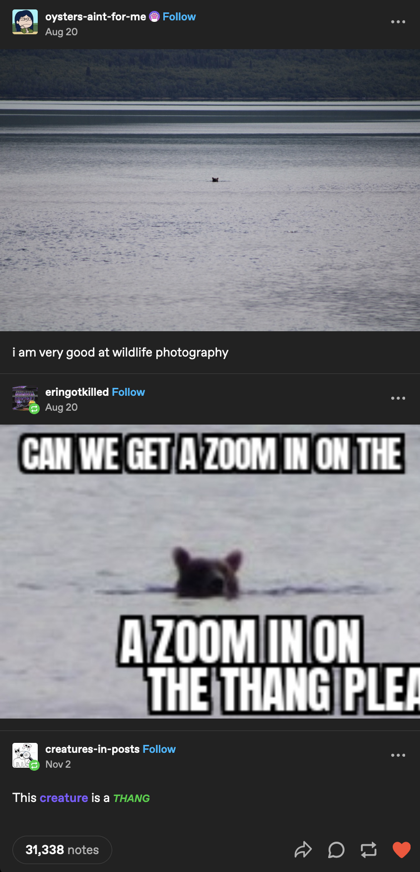 Barely Visible: A Bear's Sneaky Appearance