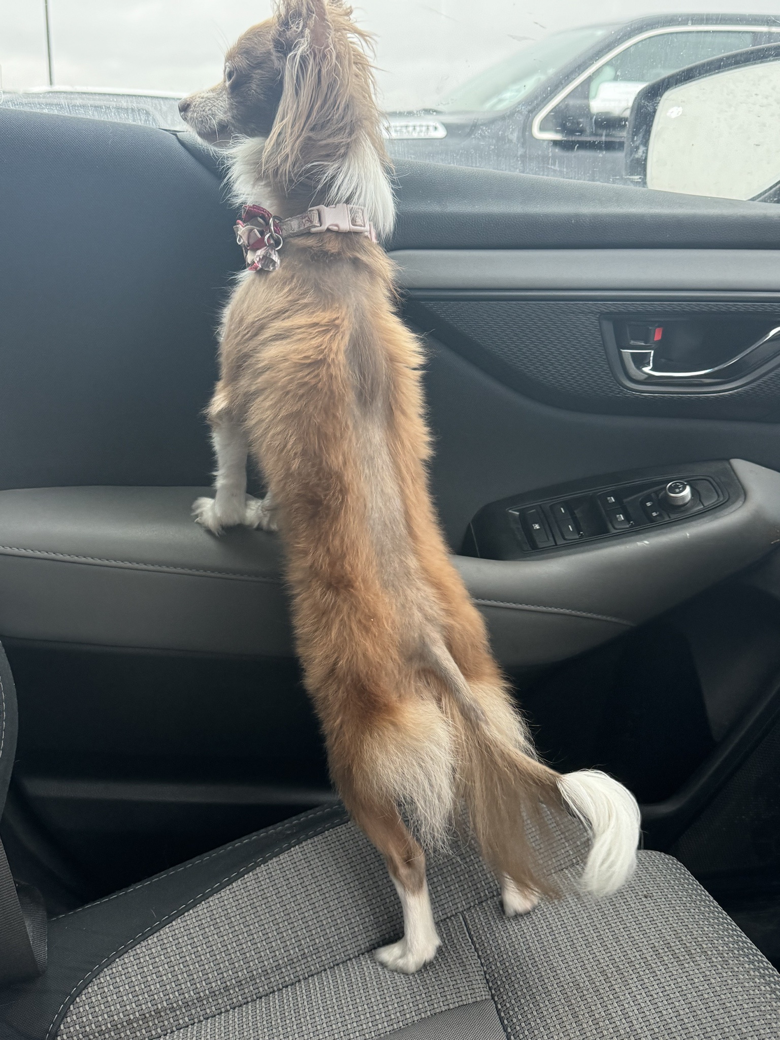Catch You Later, Toodles!