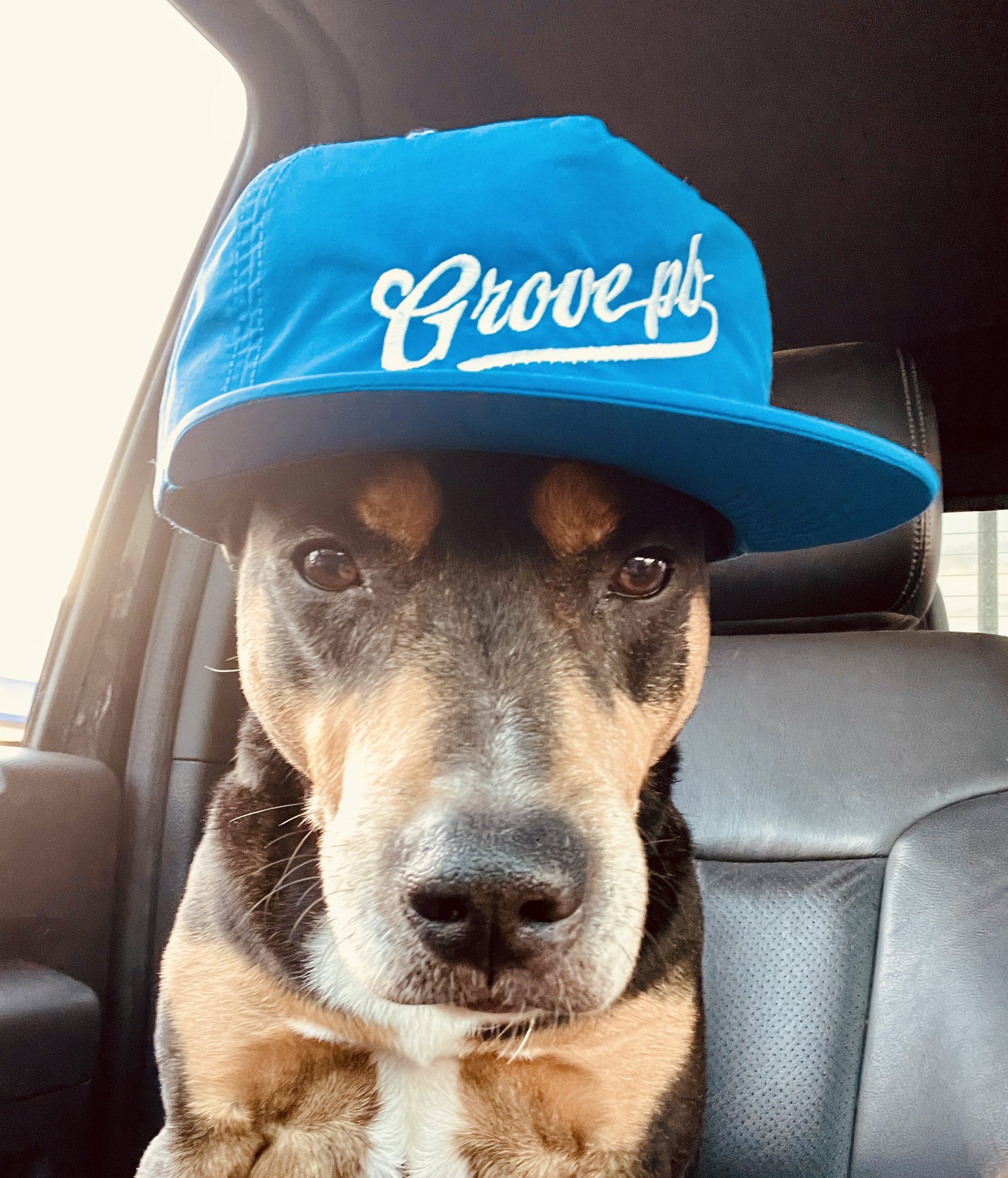 My Son: My Best Friend and Greatest Adventure