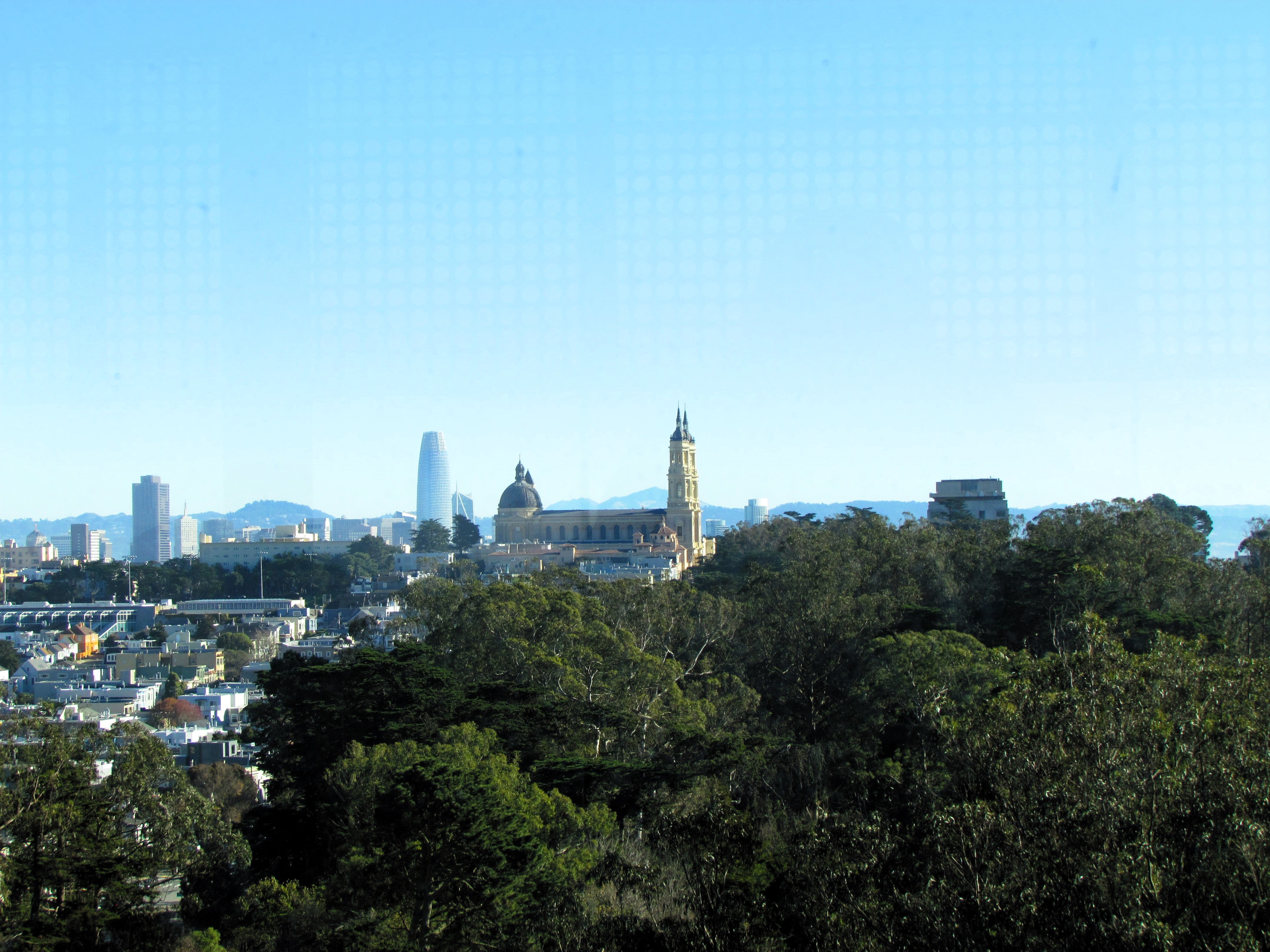 A View from the deYoung's Observation Tower