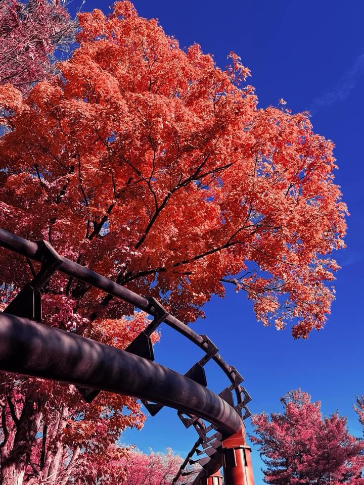 Autumn Vibes at Hersheypark