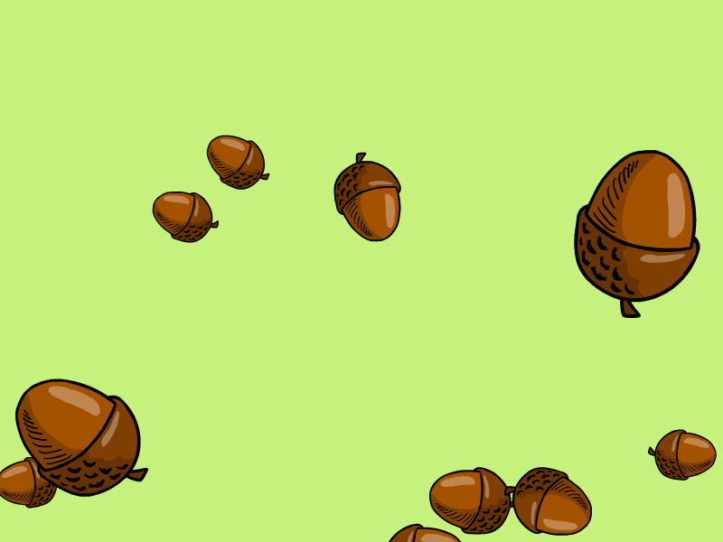 All hail Team Acorn!