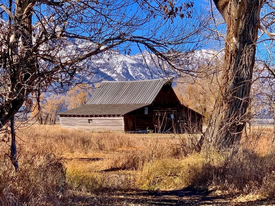 The Rustic Charm of the Barn