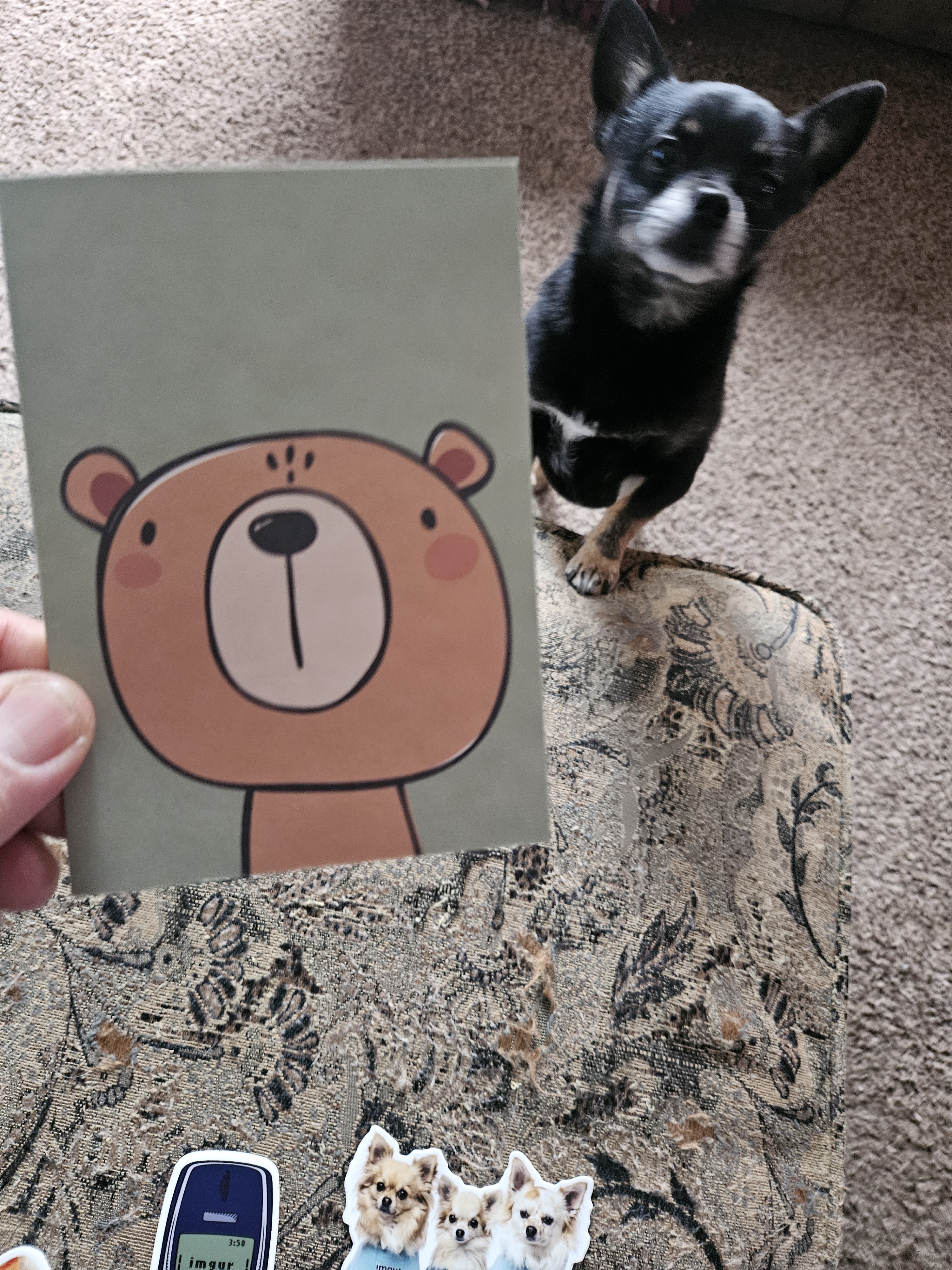Exciting Surprise: An Envelope Arrived Today!