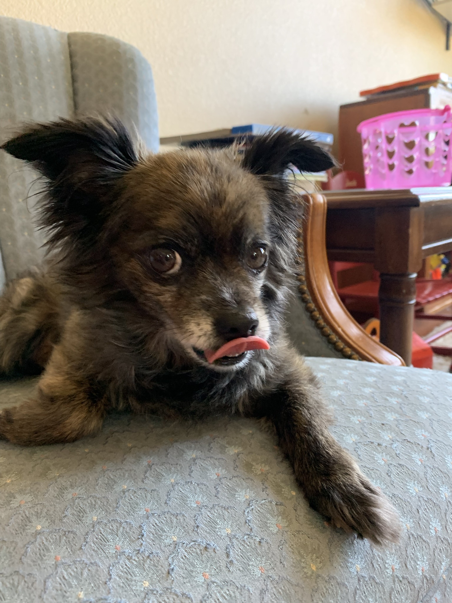 Farewell, Dear Friend: A Heartfelt Goodbye