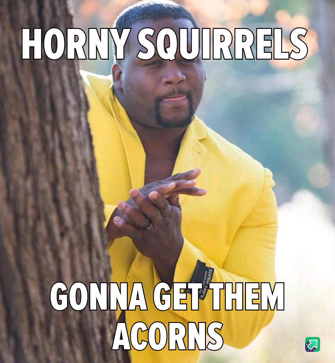 Join the Acorn Squad!