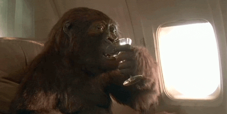 Raising a Toast: Cheers to Good Times!
