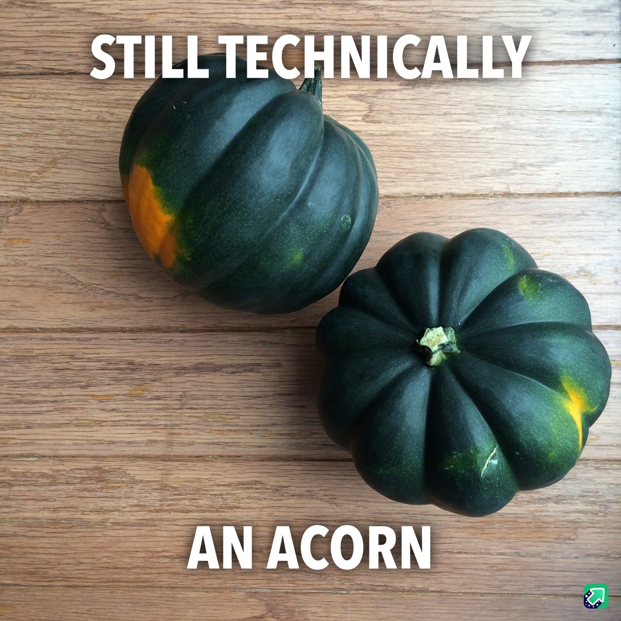 Time for an Upgrade: Level Up!