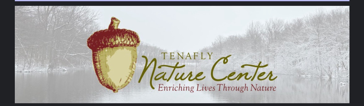 Tenafly Nature Center: The Acorn Hub