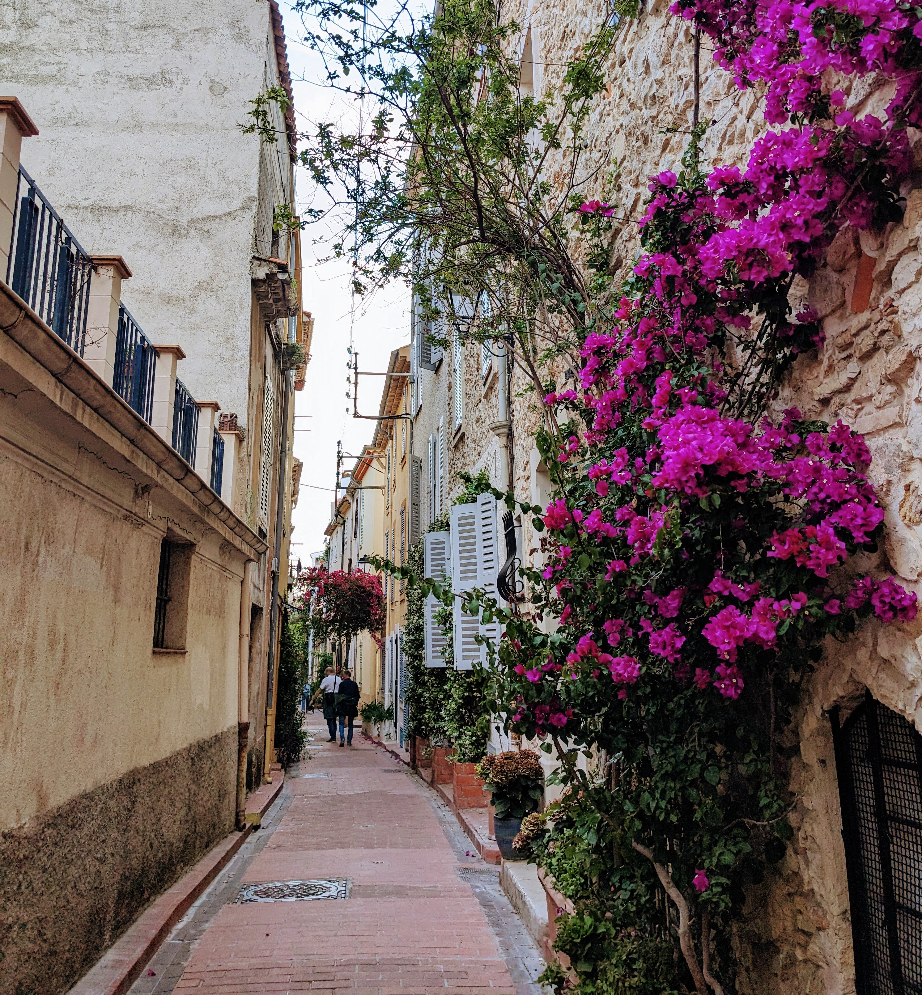 Discover the Charm of Antibes, France