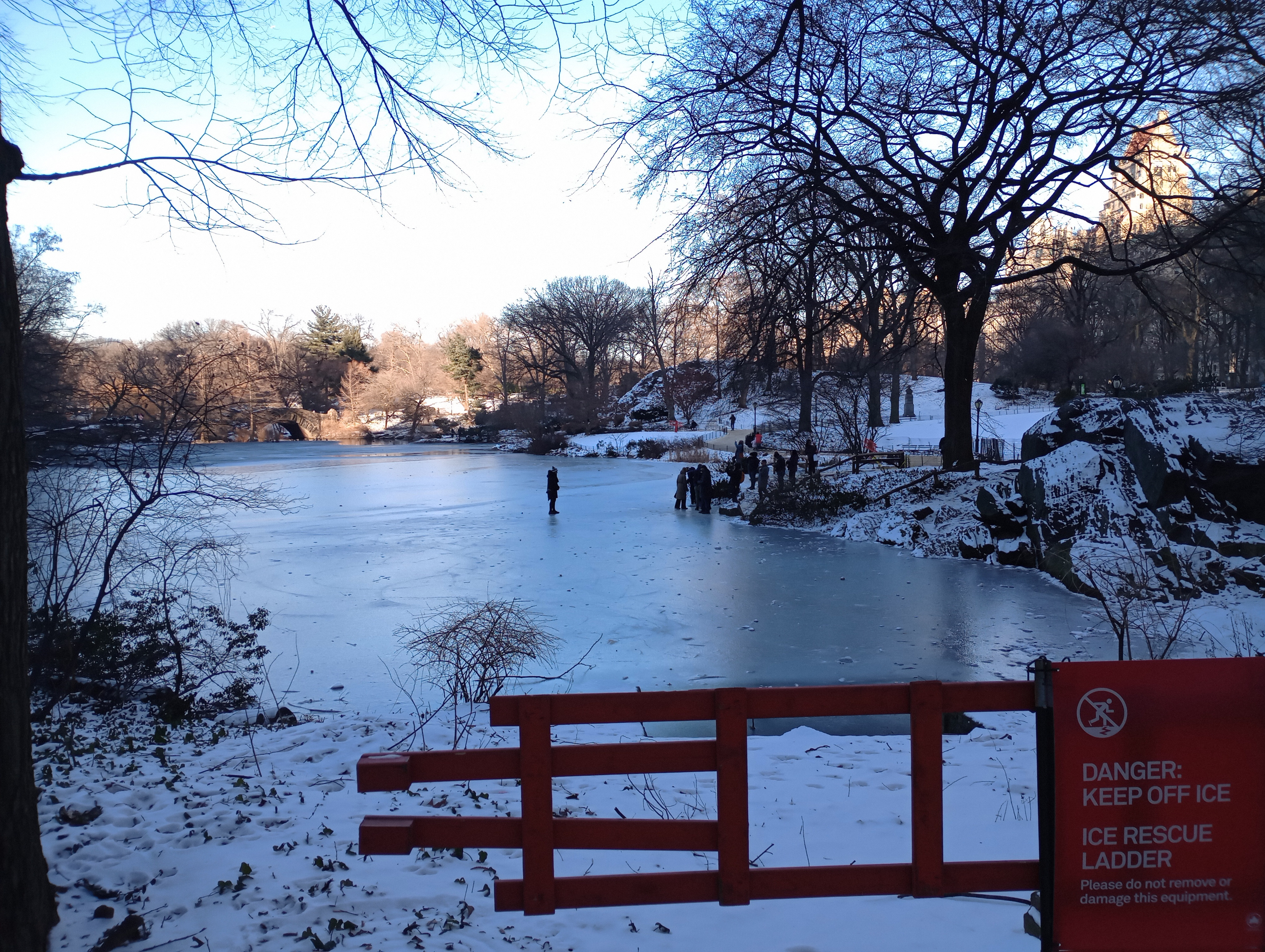 Central Park: A Snapshot from January 22, 2025