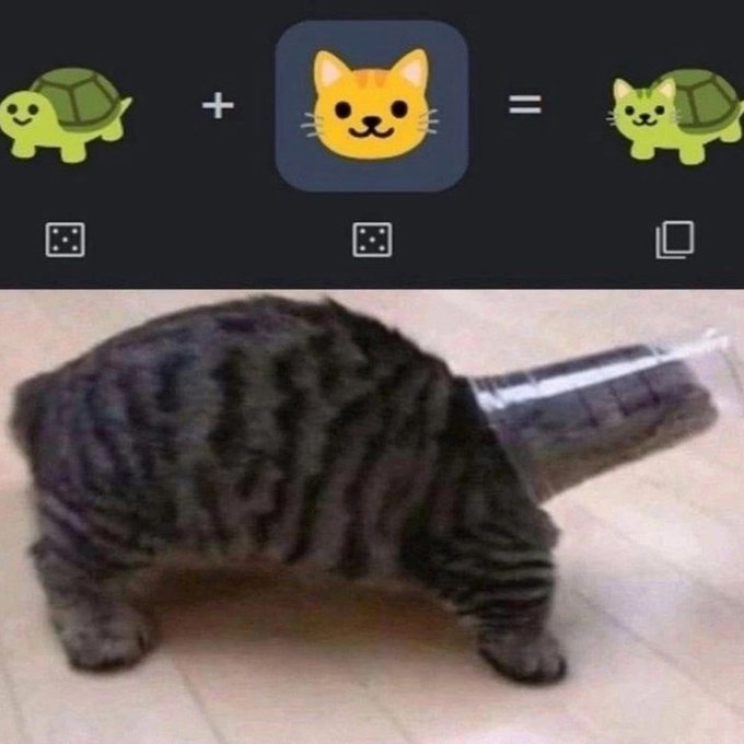 Catpost Chronicles: Episode 3