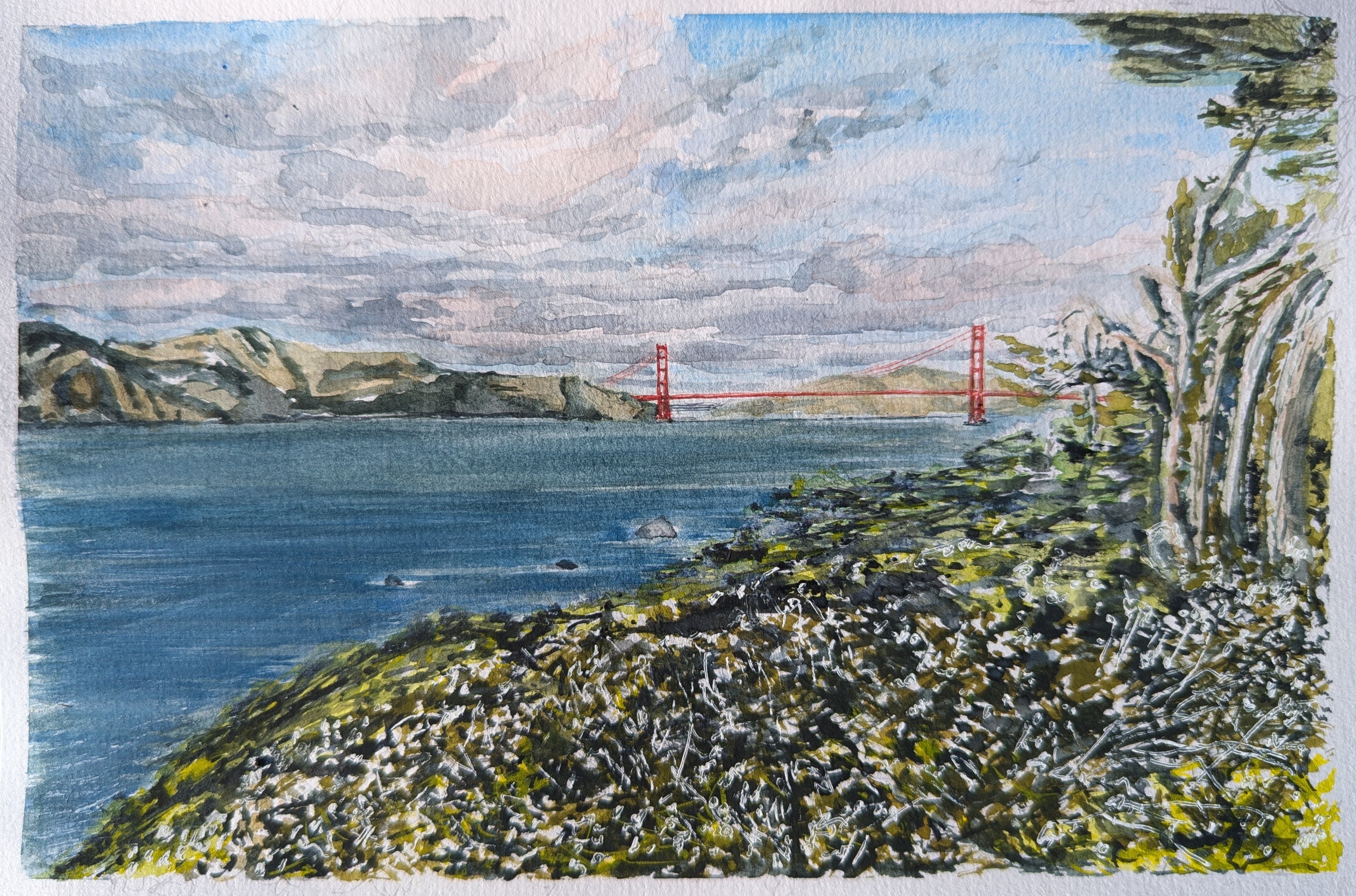 Springtime Views of the Golden Gate from Lands End Trail
