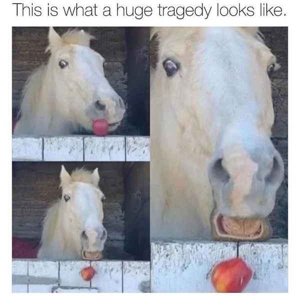 Oh No! Not My Apple!