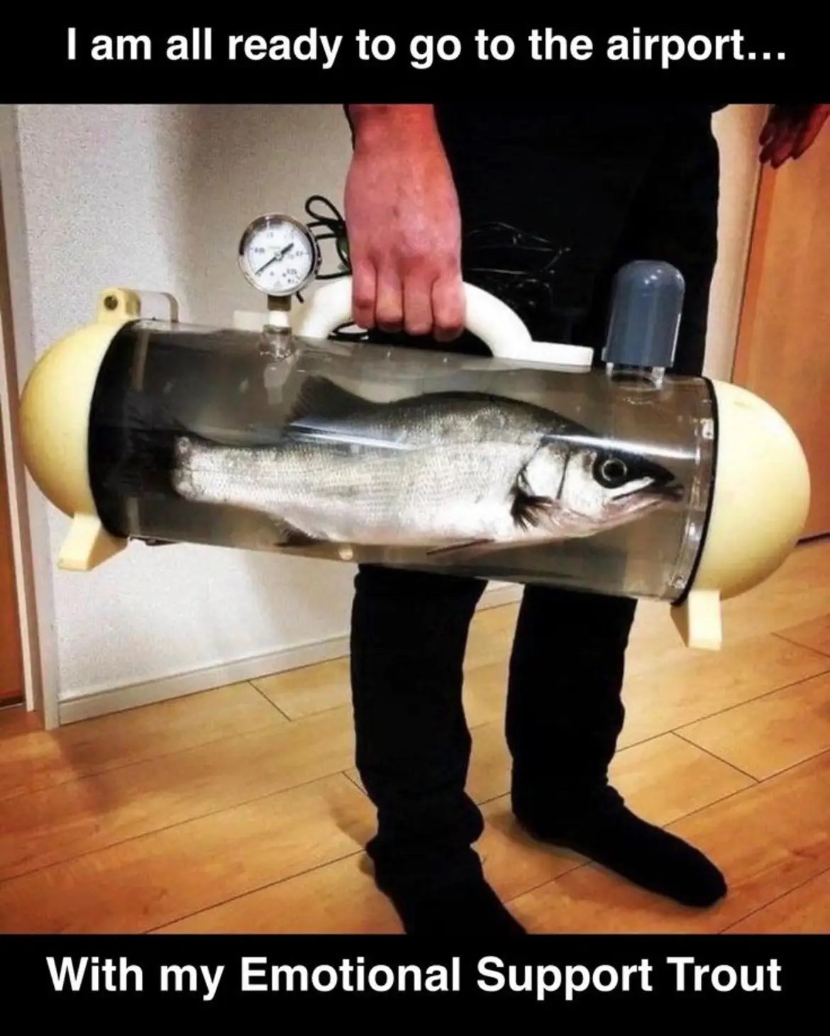 Something Smells Fishy Here