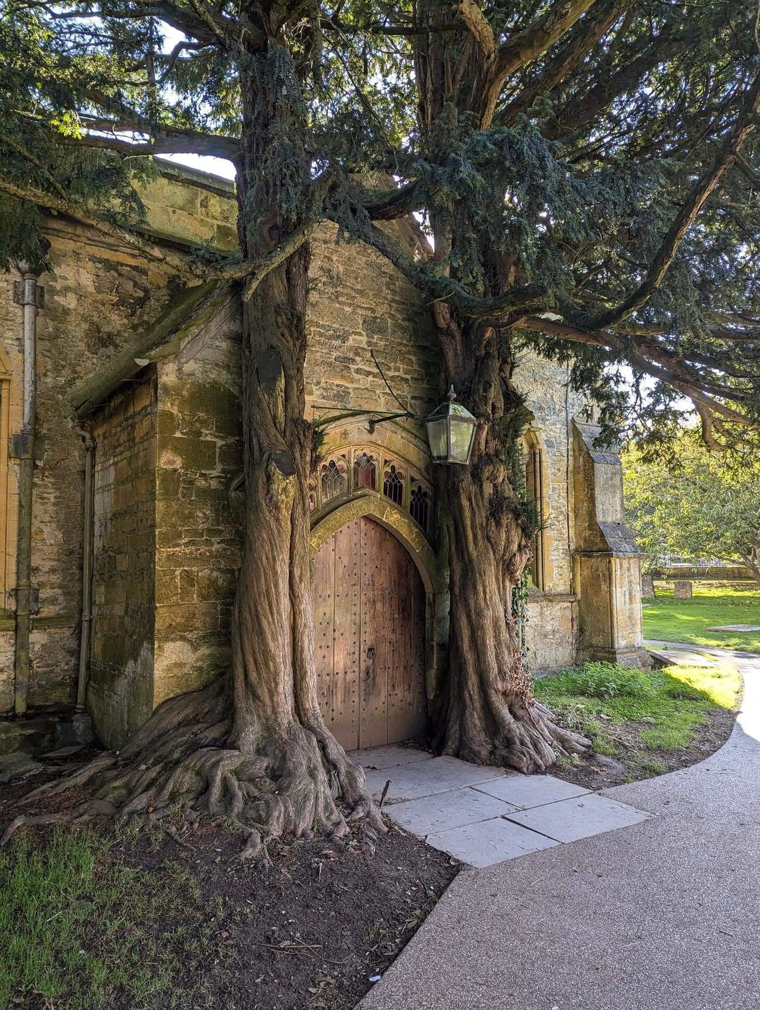 Exploring Stow's Enchanting Tolkien Door