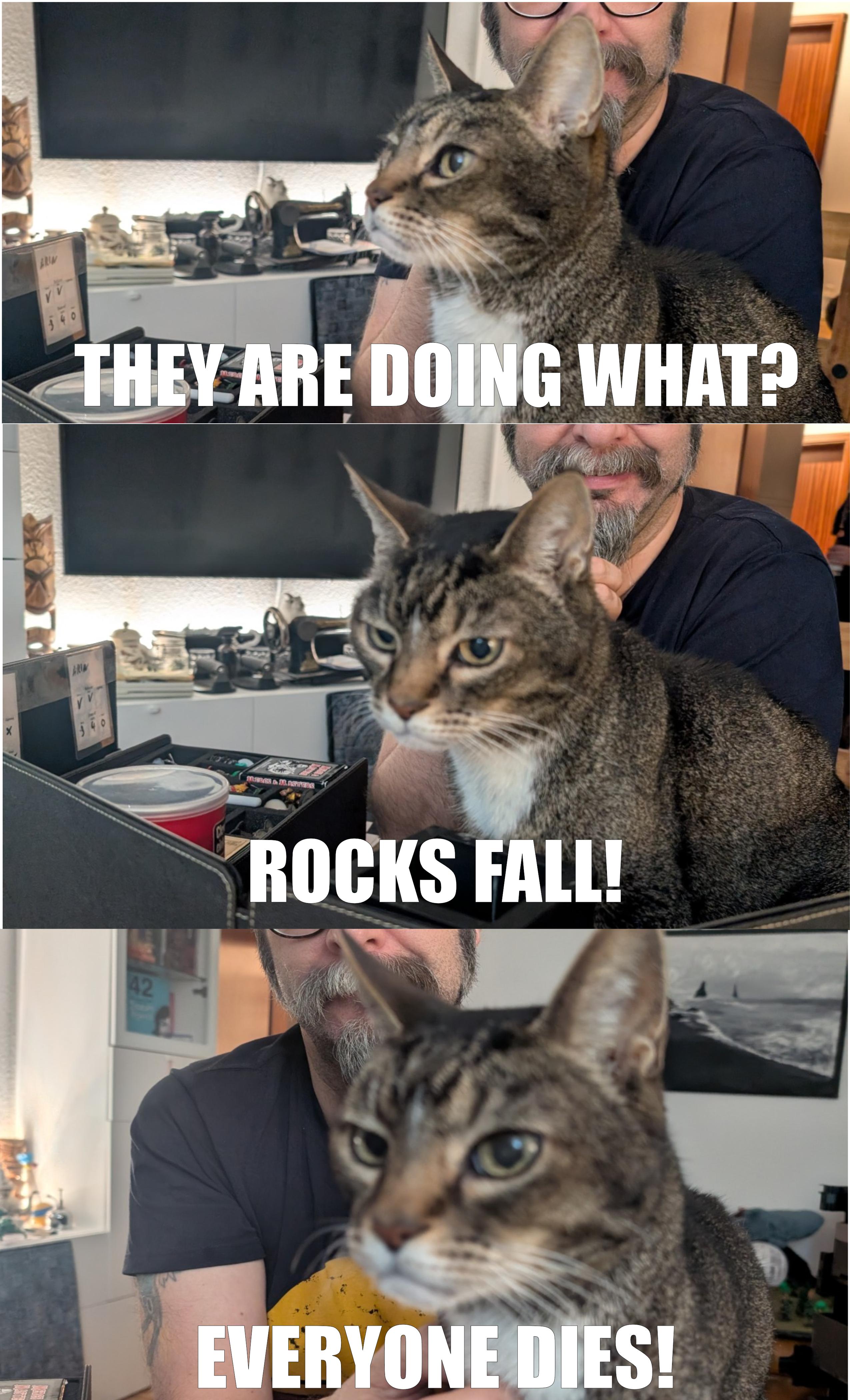 Merlin the Cat Takes on the Role of Game Master