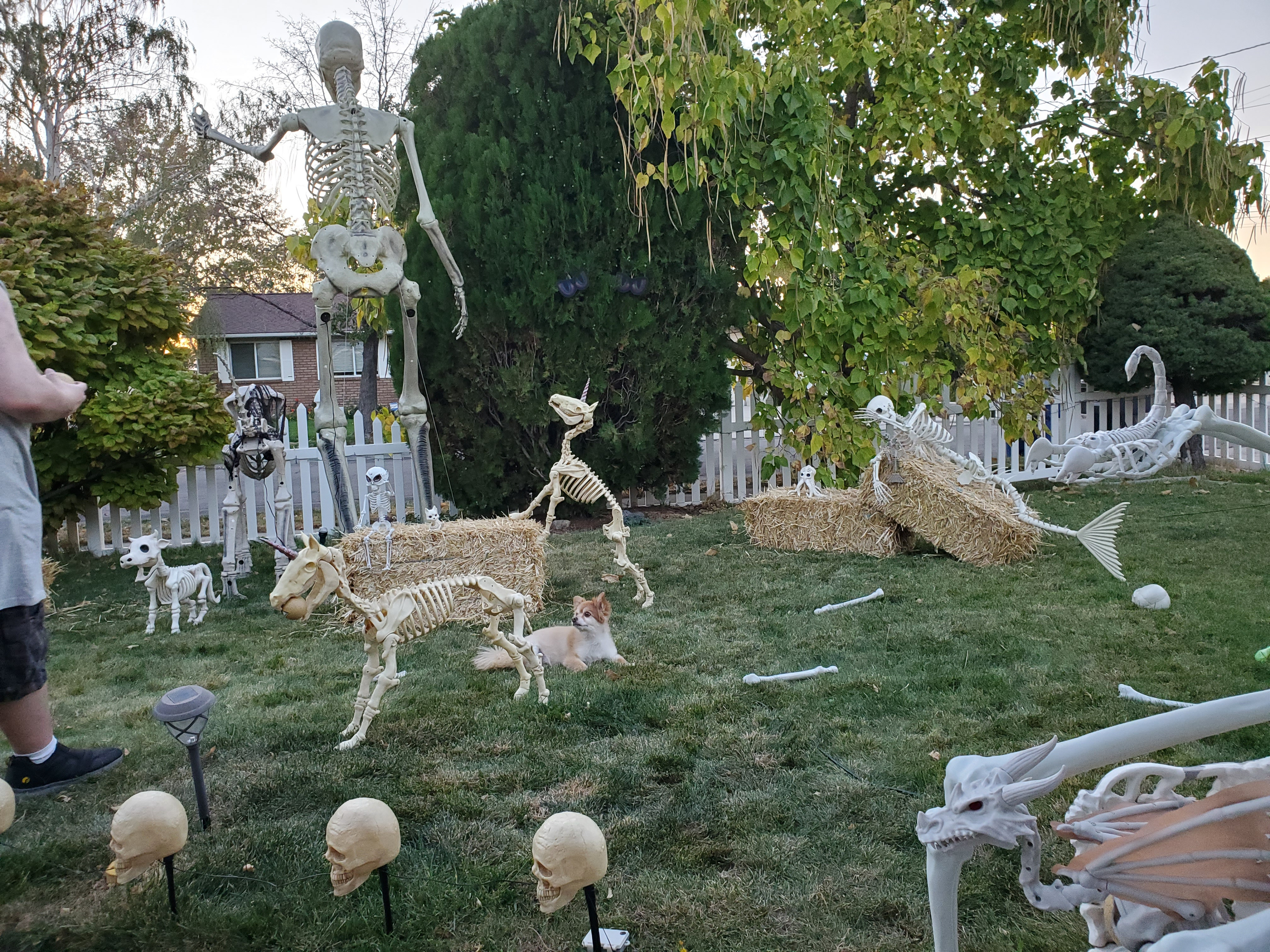 The skeleton army is on the march!