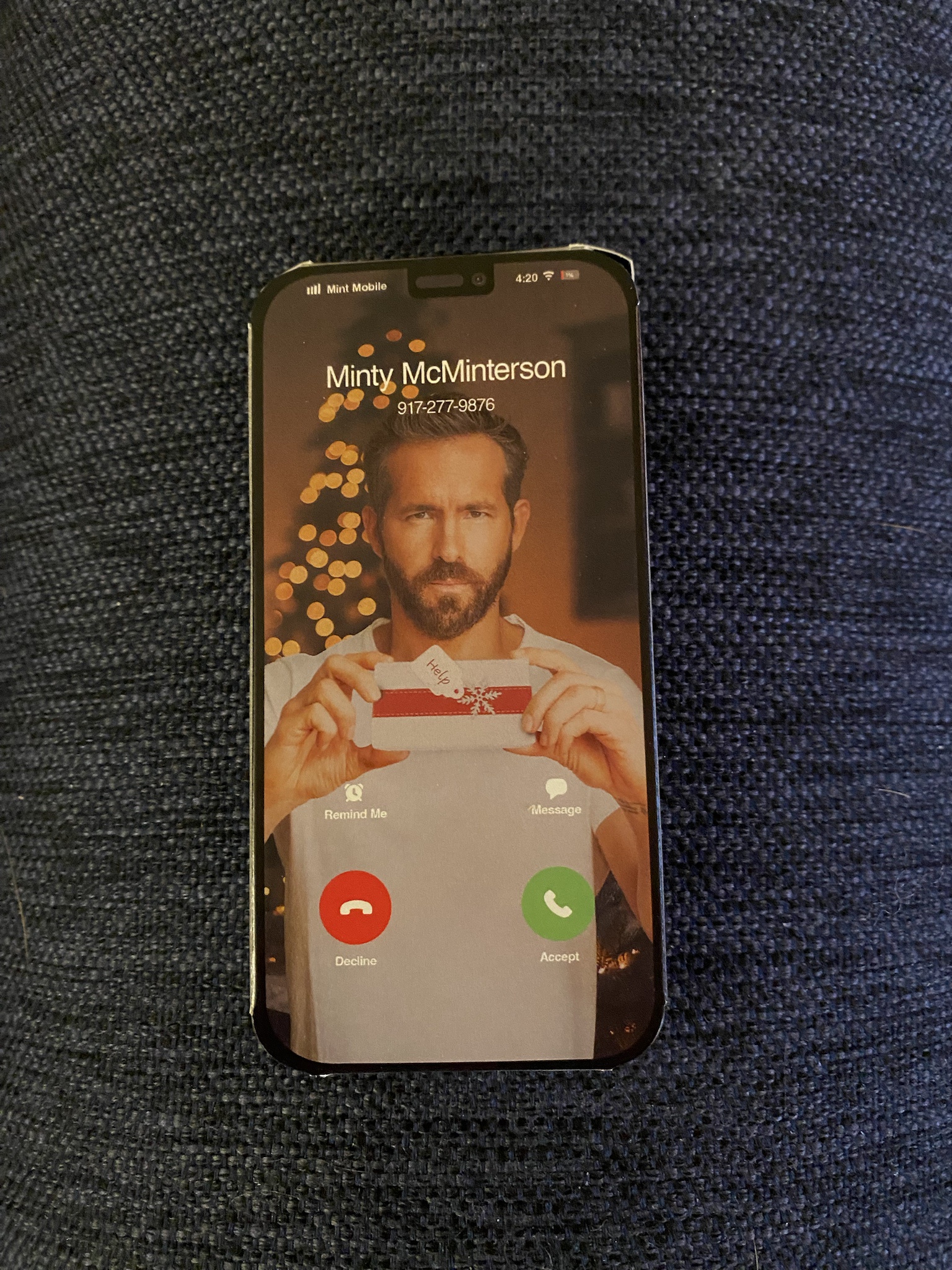 Thanks Again, Ryan! Returning to My Tree for Year Two