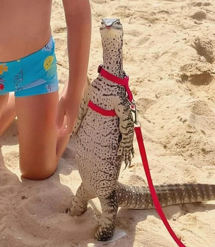 Bro, you won't believe this!